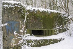 Ligne Maginot - CB317 - BROMMELSBERG NORD - (Blockhaus pour canon) - 