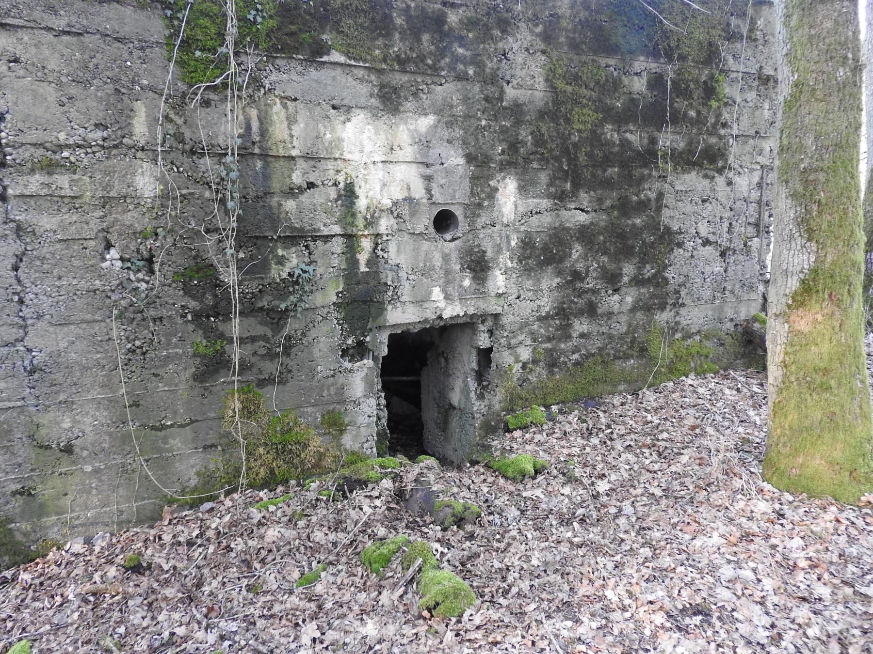 Ligne Maginot - MO-89C - BORNUNGSHOFF 4 - (Blockhaus pour arme infanterie) - L'entrée du blockhaus. - STENGER Mathieu