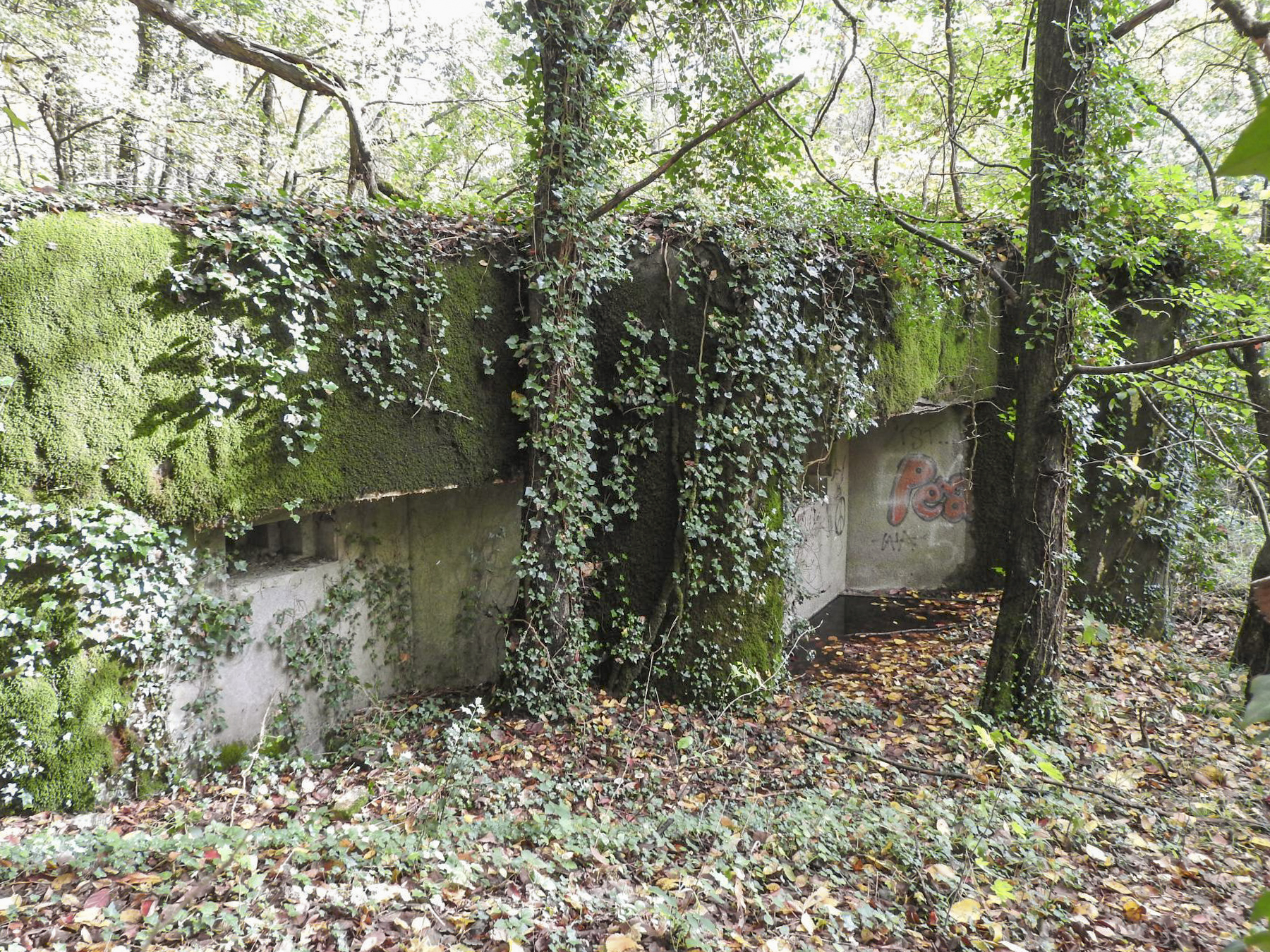 Ligne Maginot - SCHIRRHEINERWEG OUEST - (Casemate d'infanterie - Simple) - La façade de tir vers le Sud. - STENGER Mathieu