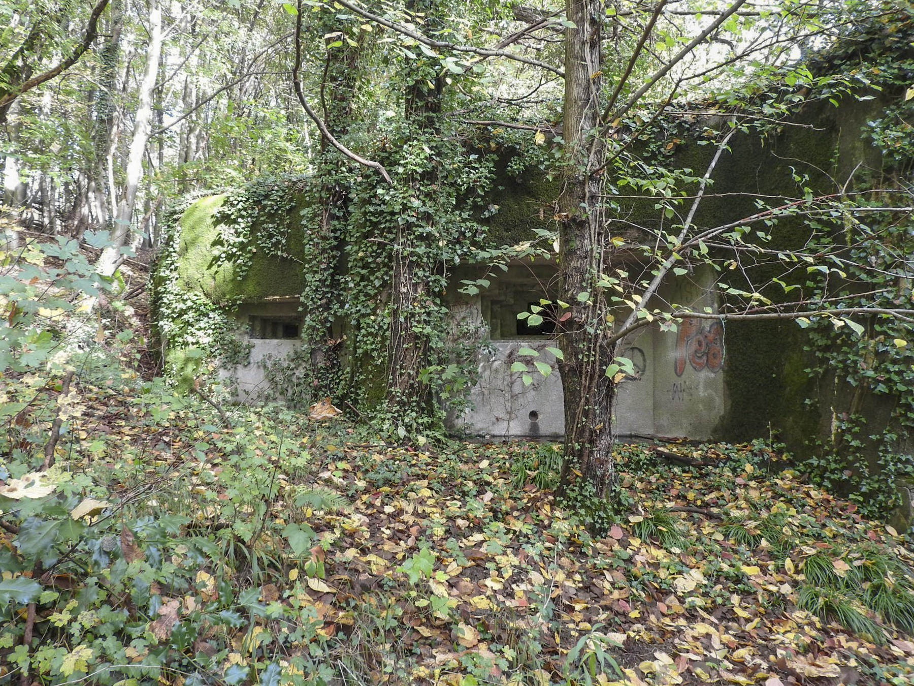 Ligne Maginot - SCHIRRHEINERWEG OUEST - (Casemate d'infanterie - Simple) - La façade de tir vers le Sud. - STENGER Mathieu