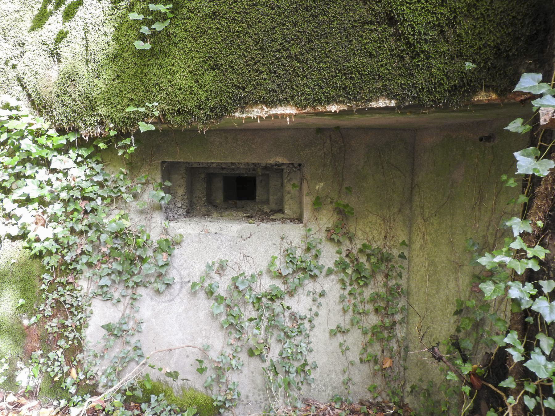 Ligne Maginot - SCHIRRHEINERWEG OUEST - (Casemate d'infanterie - Simple) - Le créneau pour mitrailleuse. - STENGER Mathieu