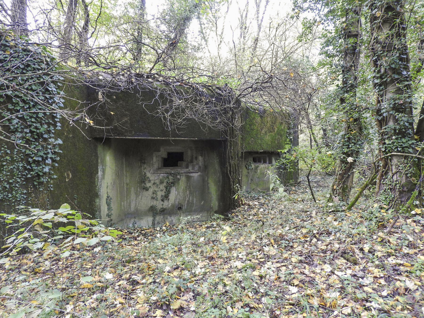 Ligne Maginot - SCHIRRHEINERWEG EST - (Casemate d'infanterie - Simple) - La façade de tir. - STENGER Mathieu