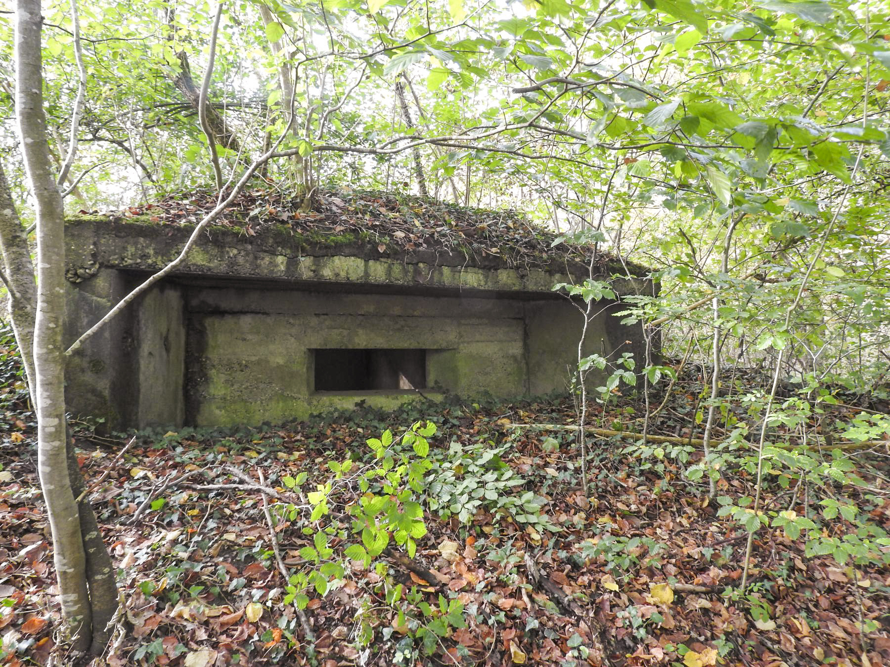 Ligne Maginot - FINNHAAG 1 - (Blockhaus pour canon) - La façade de tir. - STENGER Mathieu
