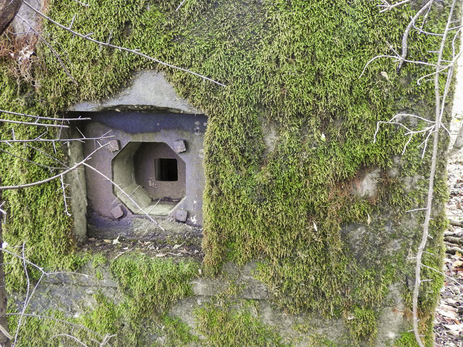 Ligne Maginot - FINNHAAG 2 - (Blockhaus pour arme infanterie) - Le deuxième créneau pour FM. - STENGER Mathieu