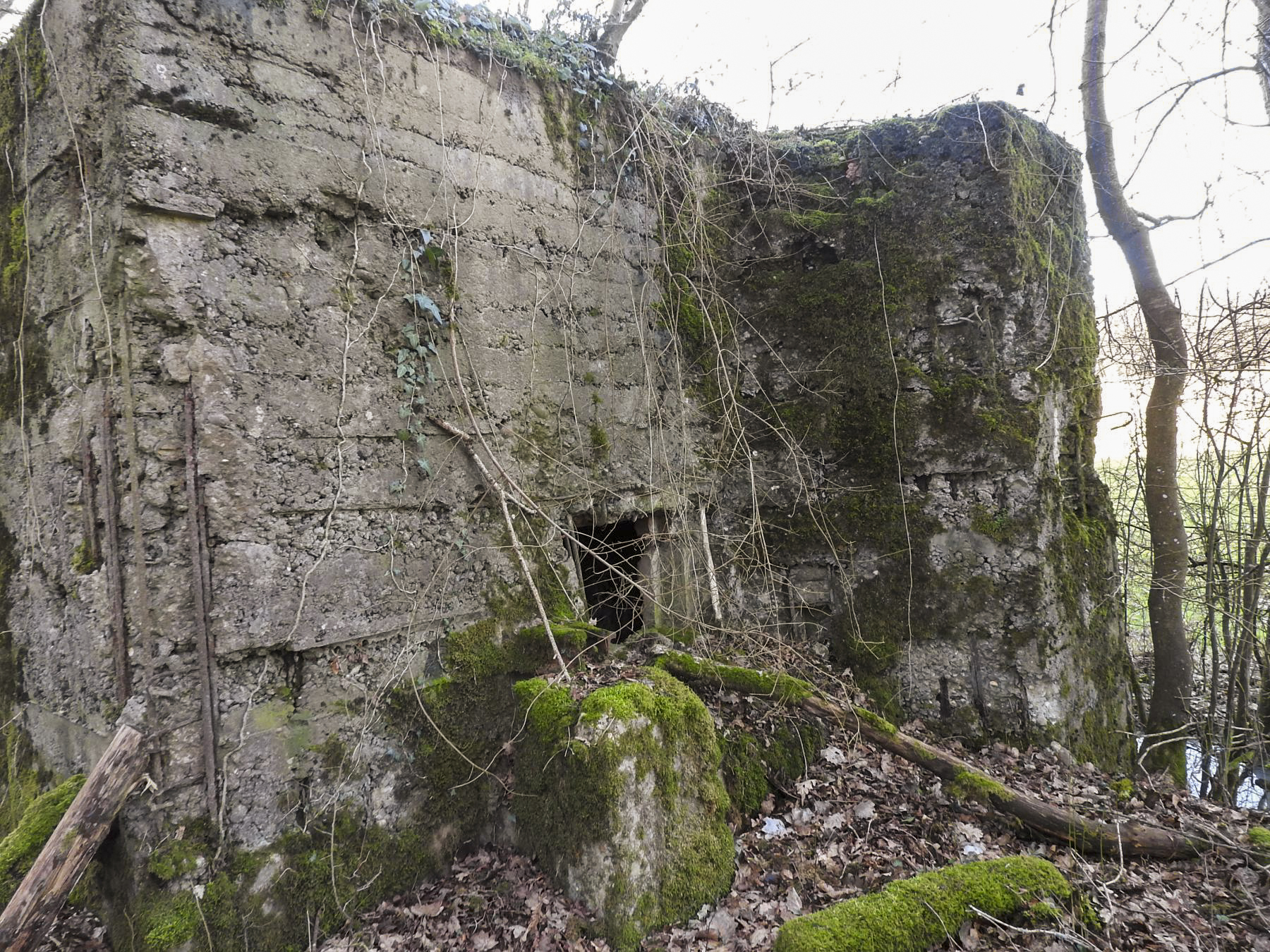 Ligne Maginot - MO-89C - BORNUNGSHOFF 4 - (Blockhaus pour arme infanterie) - La façade de tir. - STENGER Mathieu