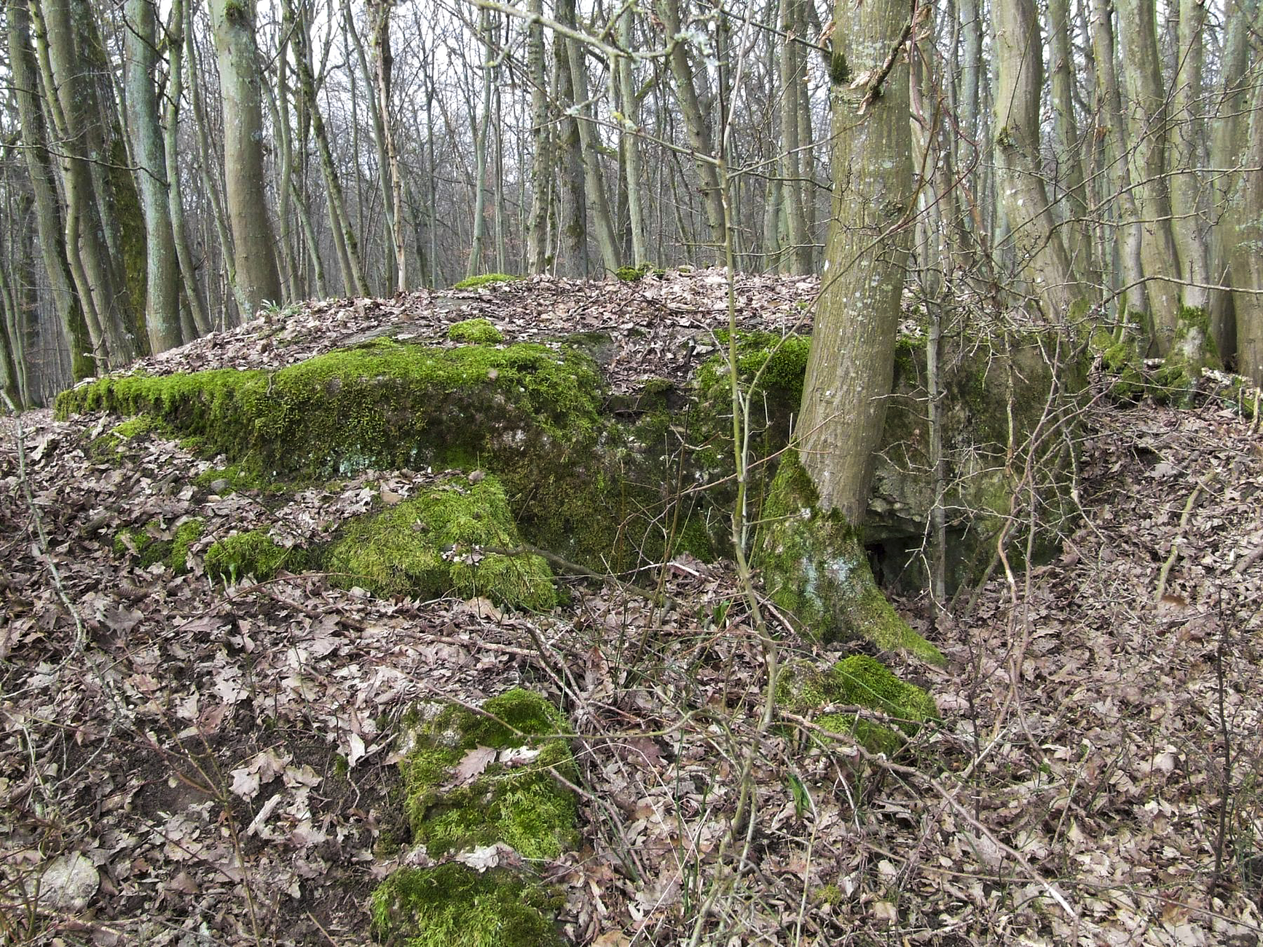 Ligne Maginot - KUHDRECK 5 - (Blockhaus pour arme infanterie) - La façade de tir. - STENGER Mathieu