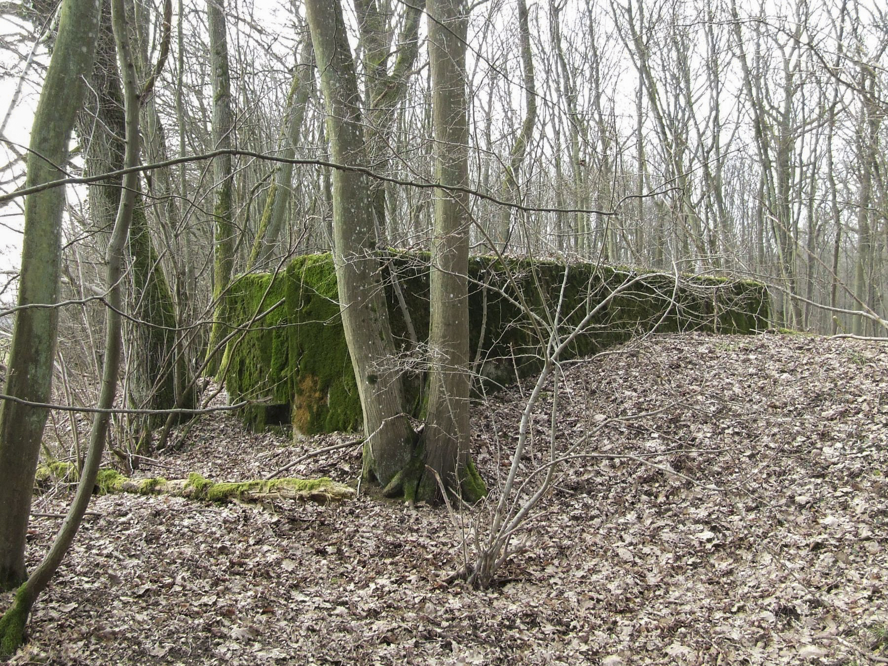 Ligne Maginot - CB296 - KUHDRECK 2 - (Blockhaus pour arme infanterie) - La façade de tir du blockhaus. - STENGER Mathieu