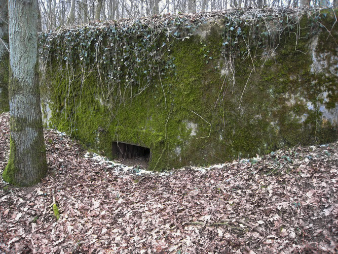 Ligne Maginot - CB296 - KUHDRECK 2 - (Blockhaus pour arme infanterie) - 