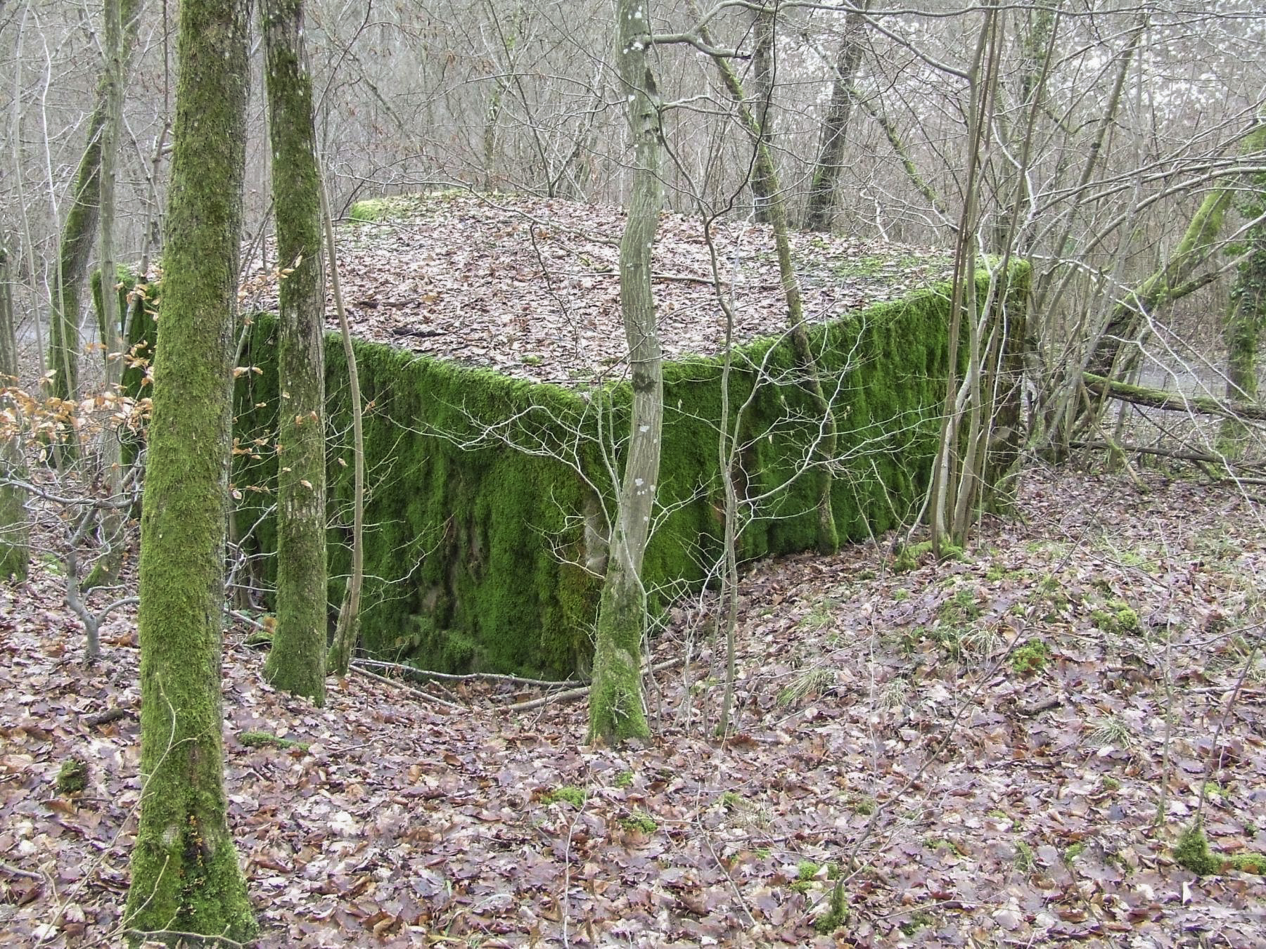 Ligne Maginot - CB85-C - BARRUNGSHOFF - (Blockhaus pour arme infanterie) - Le blockhaus vu de l'arrière.
L'entrée est en partie remblayée. - STENGER Mathieu