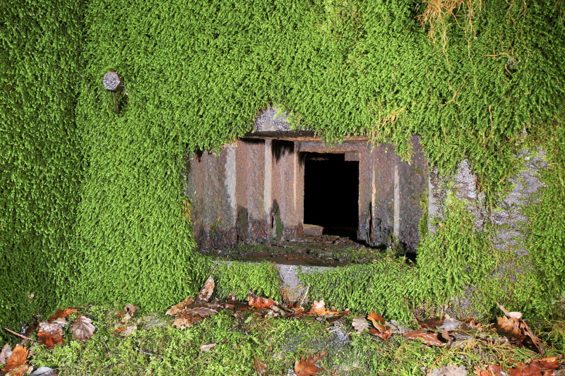 Ligne Maginot - CB85-C - BARRUNGSHOFF - (Blockhaus pour arme infanterie) - Le créneau de tir.