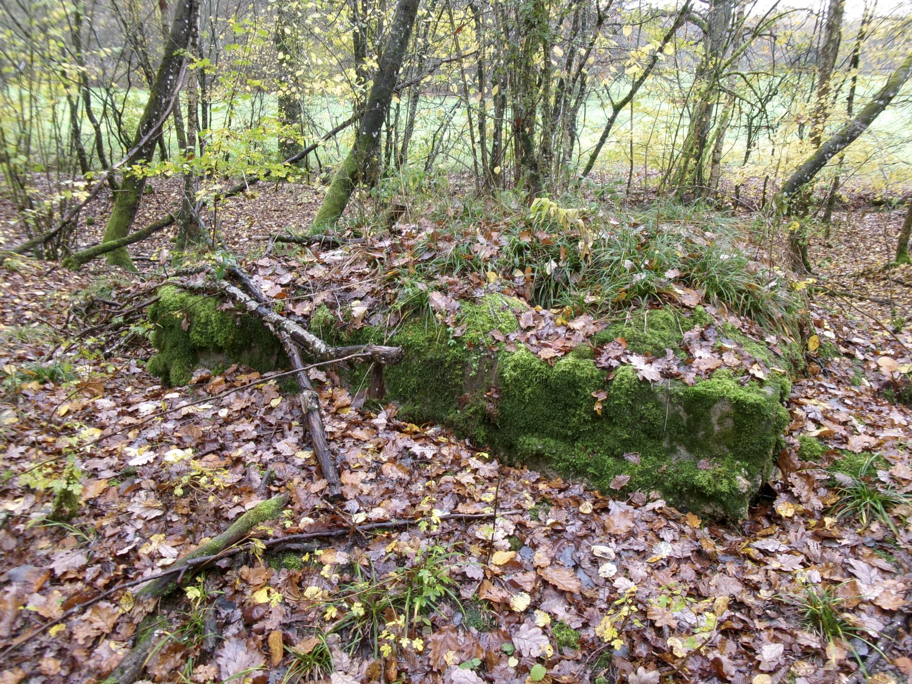 Ligne Maginot - CB87-A - BORNUNGSHOFF EST - (Blockhaus pour arme infanterie) -  - Fossoul Marc