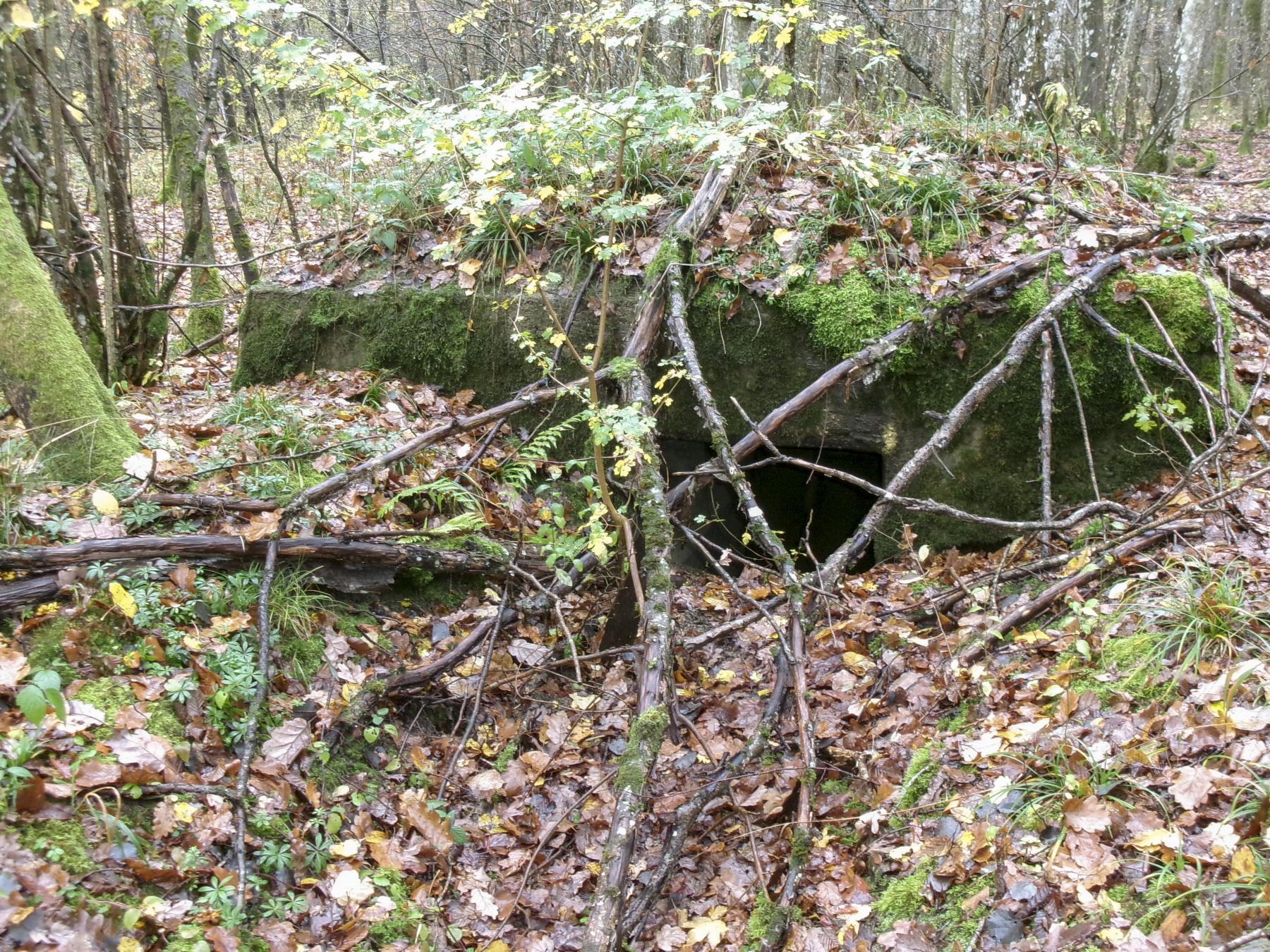 Ligne Maginot - CB87-A - BORNUNGSHOFF EST - (Blockhaus pour arme infanterie) -  - Fossoul Marc