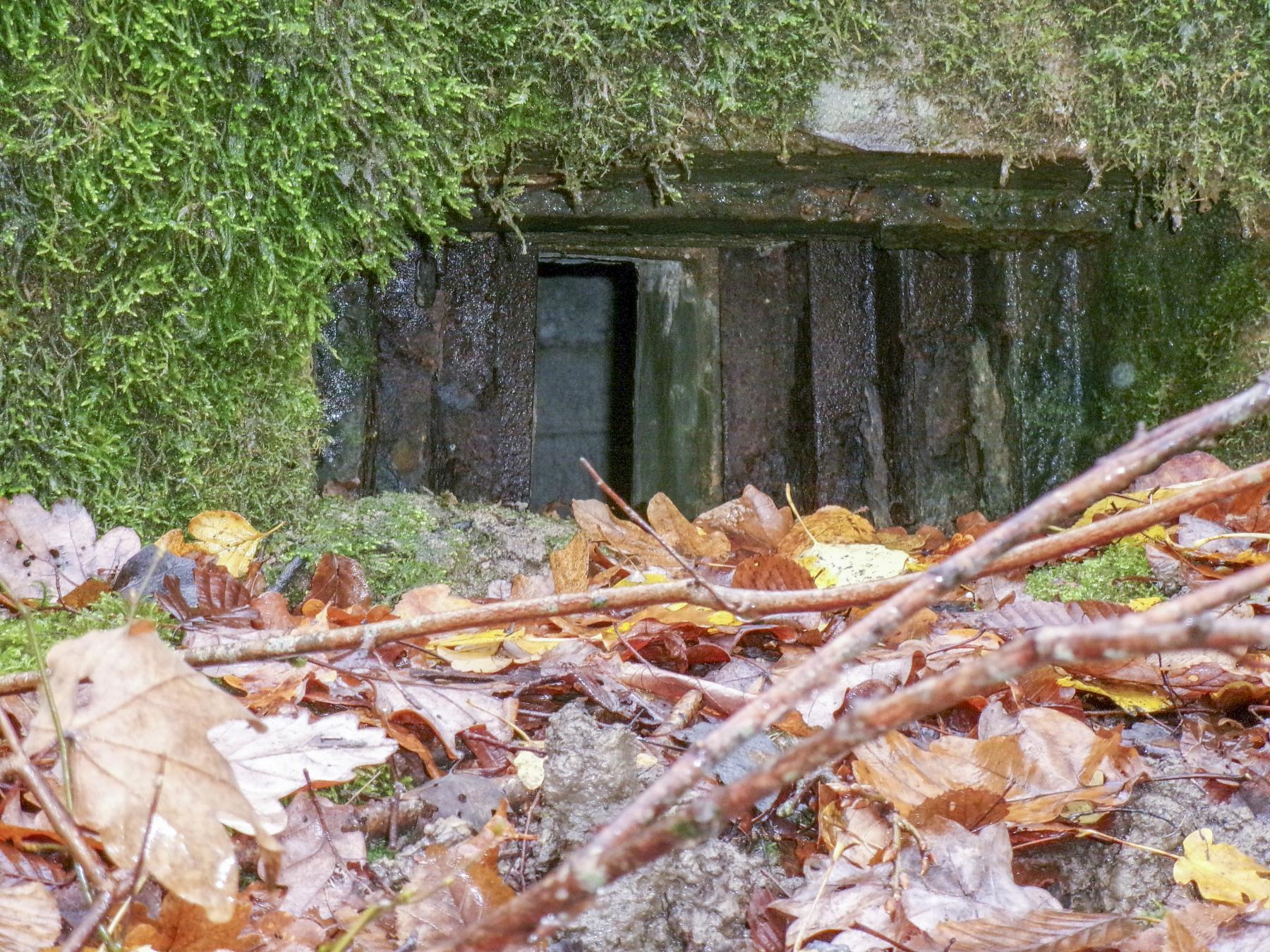 Ligne Maginot - CB87-A - BORNUNGSHOFF EST - (Blockhaus pour arme infanterie) -  - Fossoul Marc