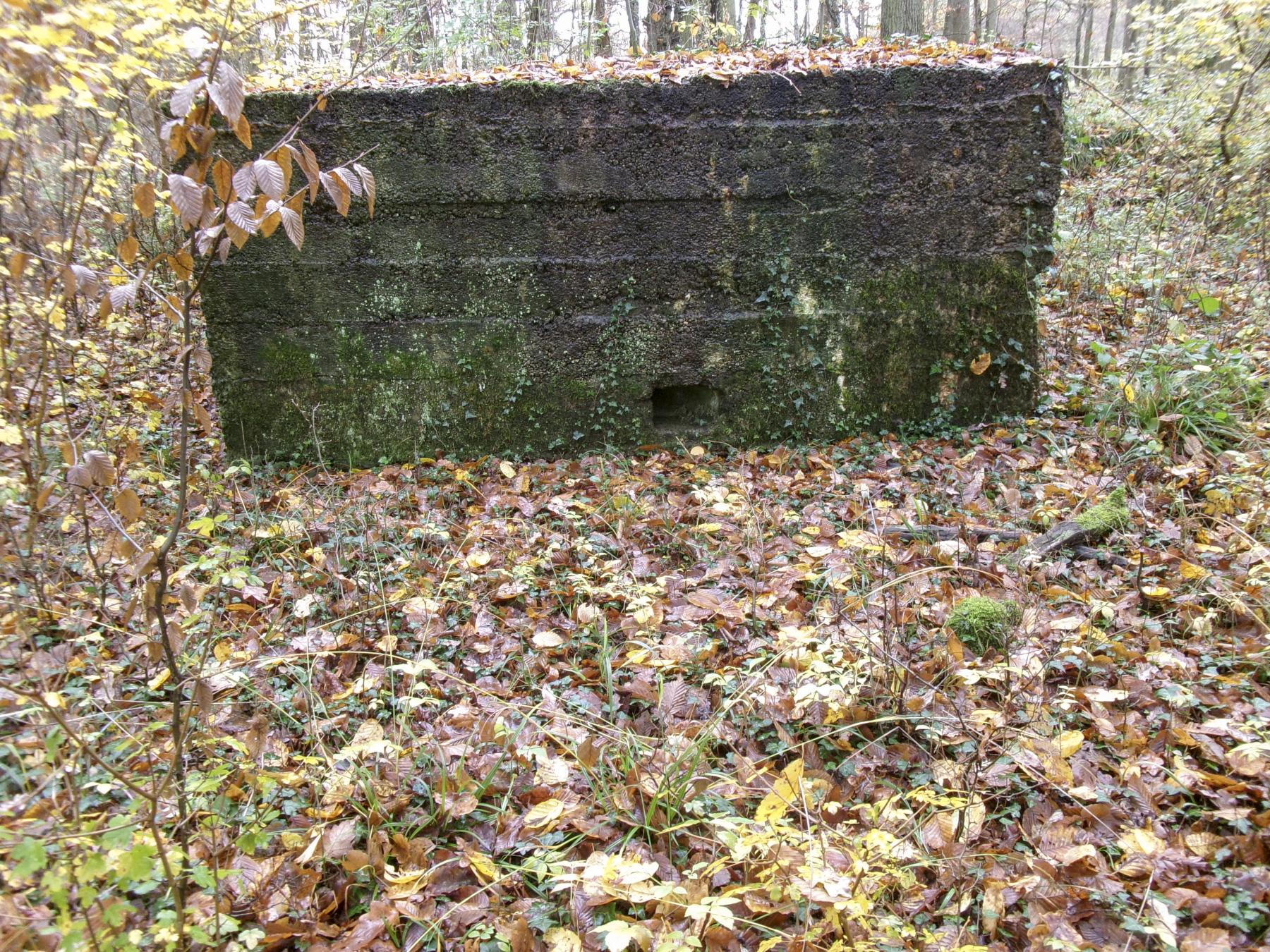 Ligne Maginot - CB89 - BORNUNGSHOFF 1 - (Blockhaus pour arme infanterie) -  - Marc Fossoul