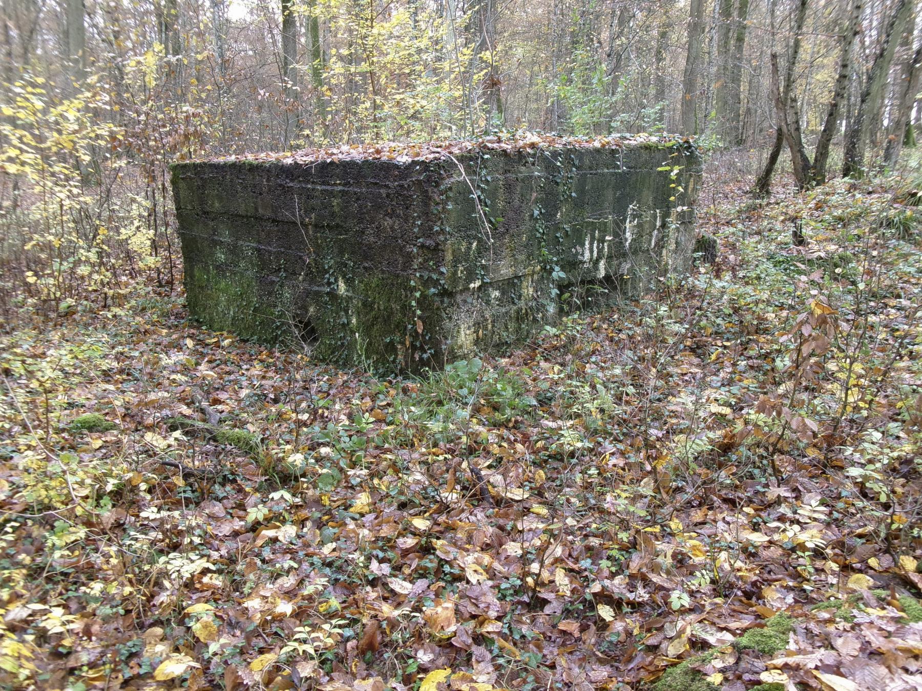 Ligne Maginot - CB89 - BORNUNGSHOFF 1 - (Blockhaus pour arme infanterie) -  - Marc Fossoul