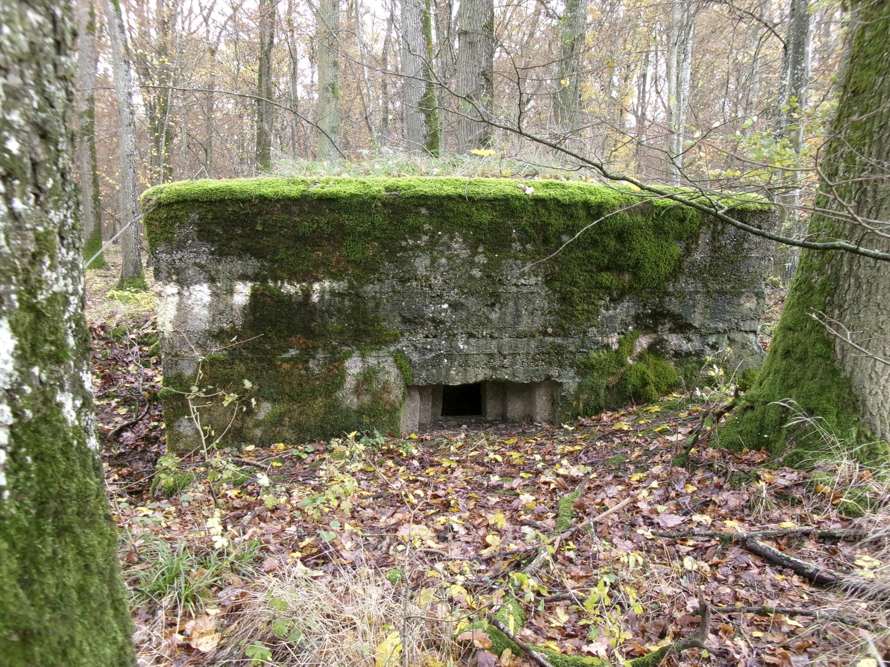 Ligne Maginot - CB89-A - BORNUNGSHOFF 2 - (Blockhaus pour arme infanterie) -  - Marc Fossoul