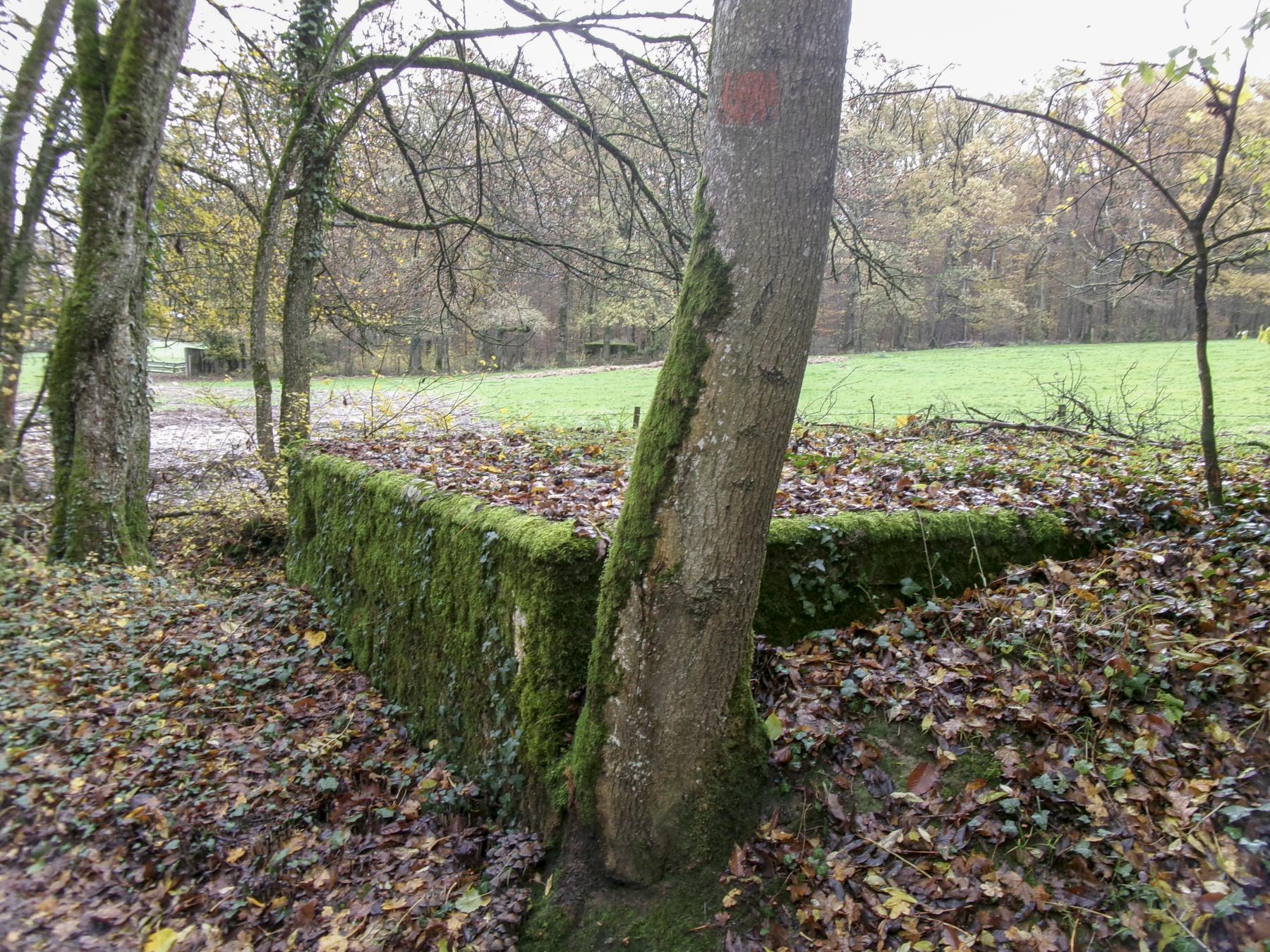 Ligne Maginot - CB89-B - BORNUNGSHOFF 3 - (Blockhaus pour arme infanterie) -  - Marc Fossoul