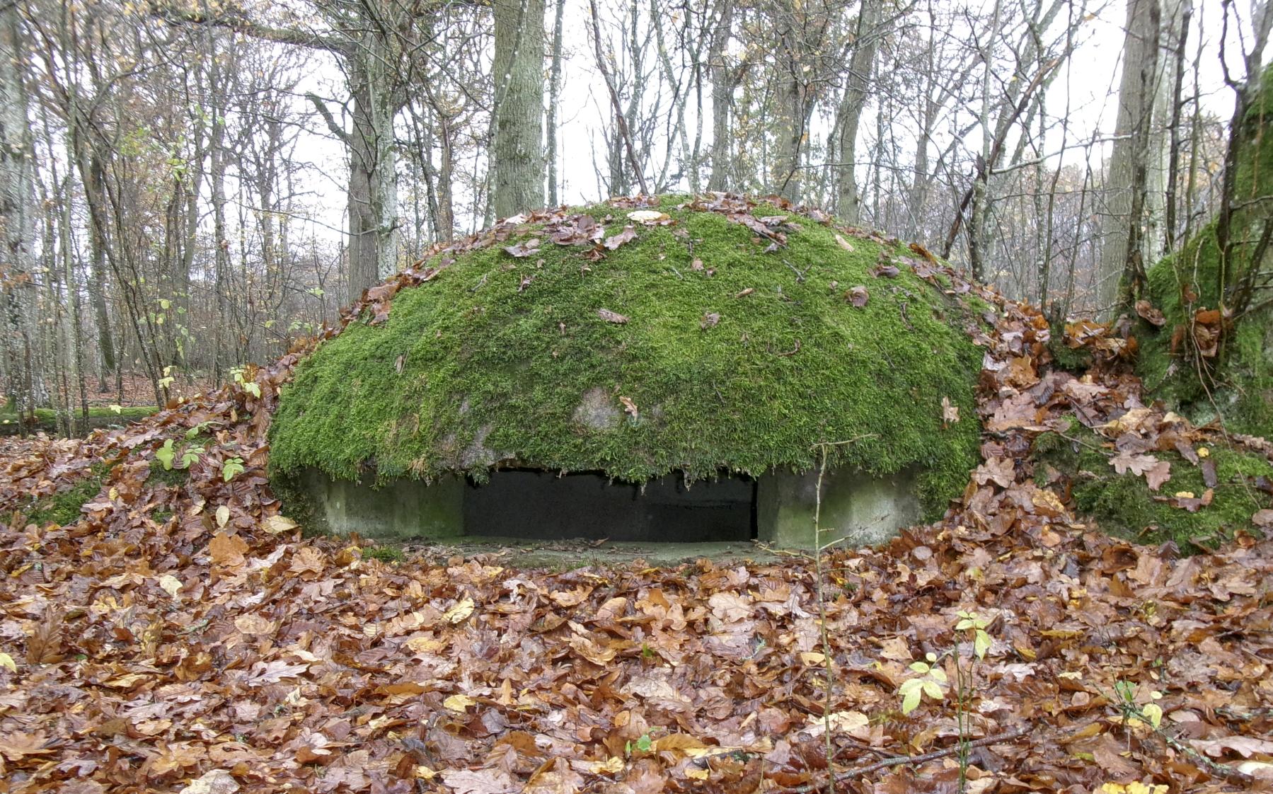 Ligne Maginot - CT53 - (Cuve pour arme d'infanterie) -  - Marc Fossoul