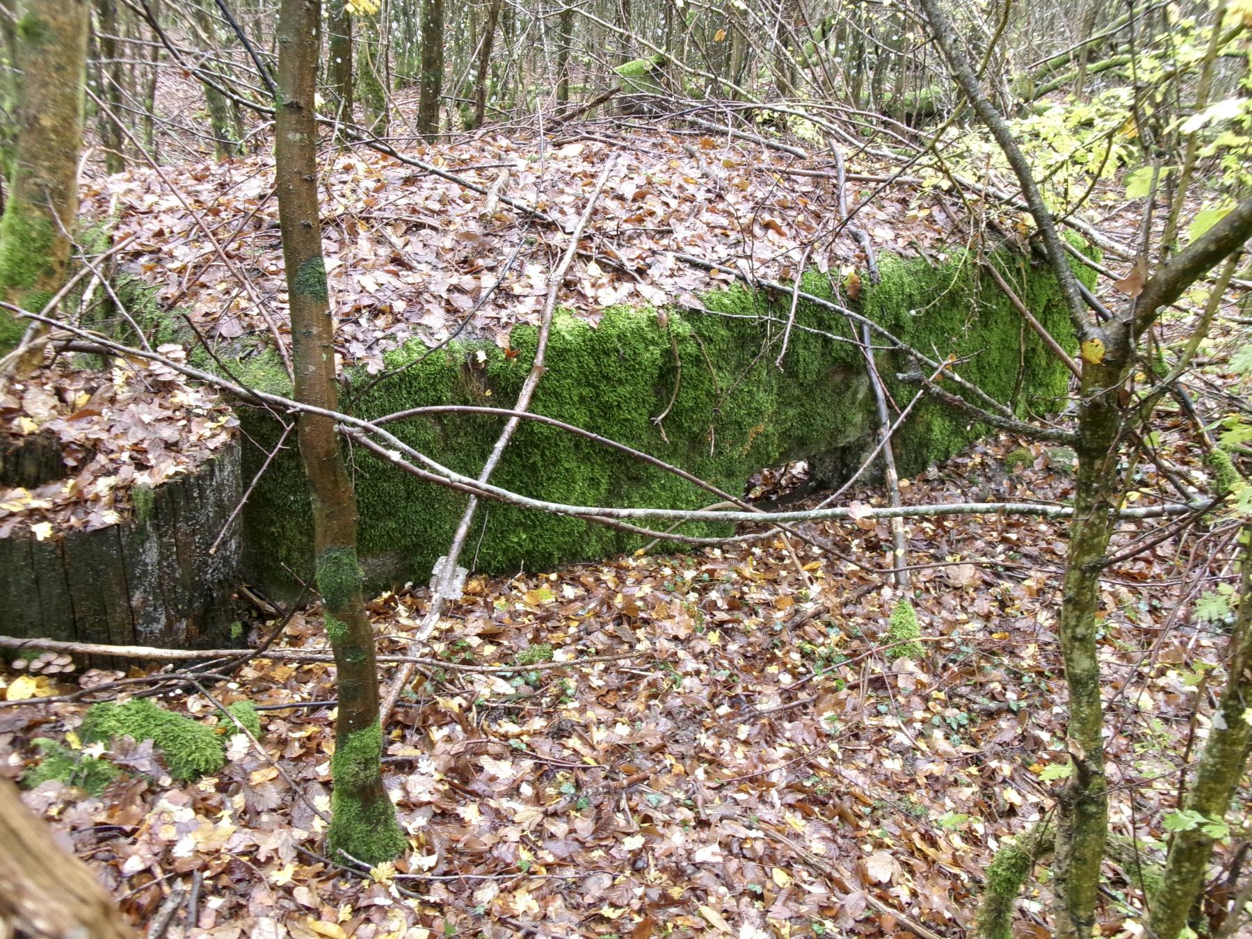Ligne Maginot - UNTERE TRAUSCH - (Blockhaus pour arme infanterie) -  - Marc Fossoul