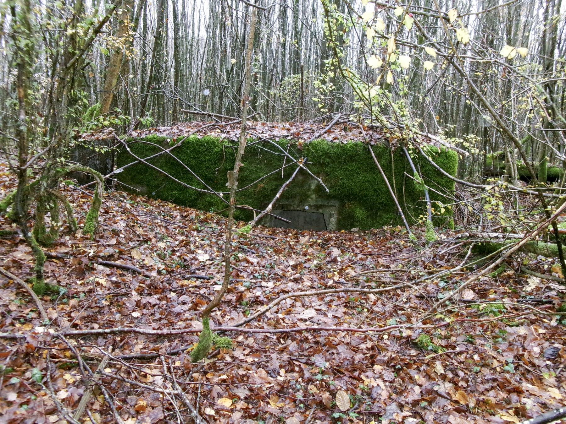 Ligne Maginot - UNTERE TRAUSCH - (Blockhaus pour arme infanterie) -  - Marc Fossoul