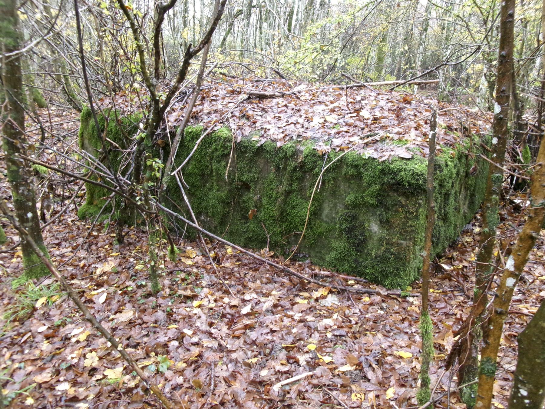 Ligne Maginot - UNTERE TRAUSCH - (Blockhaus pour arme infanterie) -  - Marc Fossoul