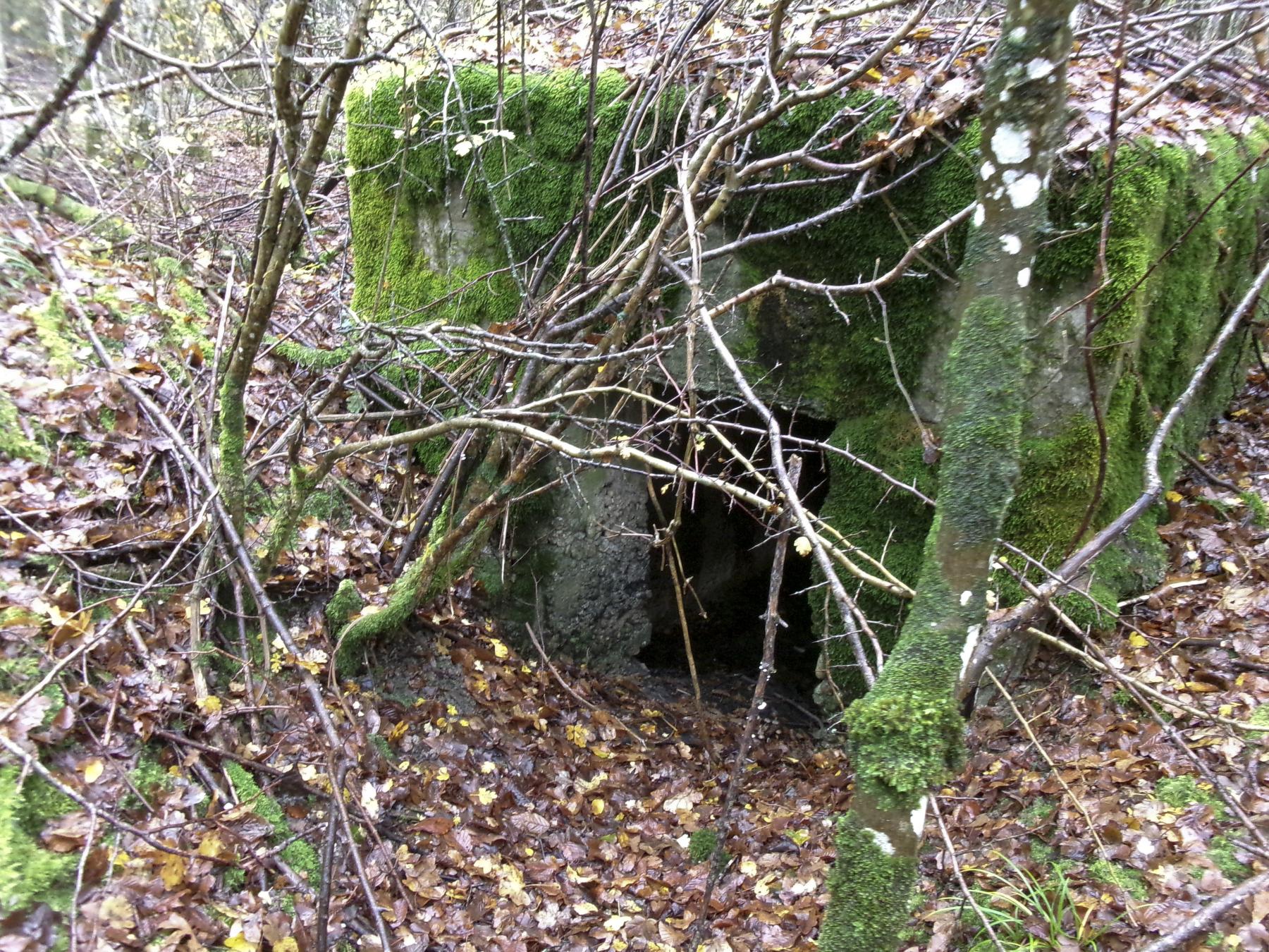 Ligne Maginot - UNTERE TRAUSCH - (Blockhaus pour arme infanterie) -  - Marc Fossoul