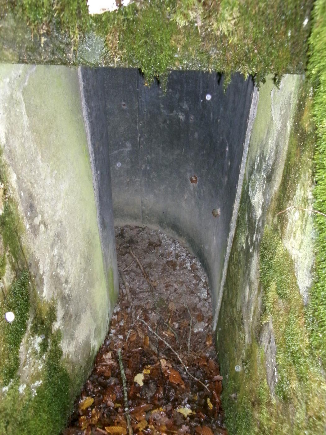 Ligne Maginot - UNTERE TRAUSCH CENTRE - (Observatoire d'infanterie) - L'entrée - Marc Fossoul
