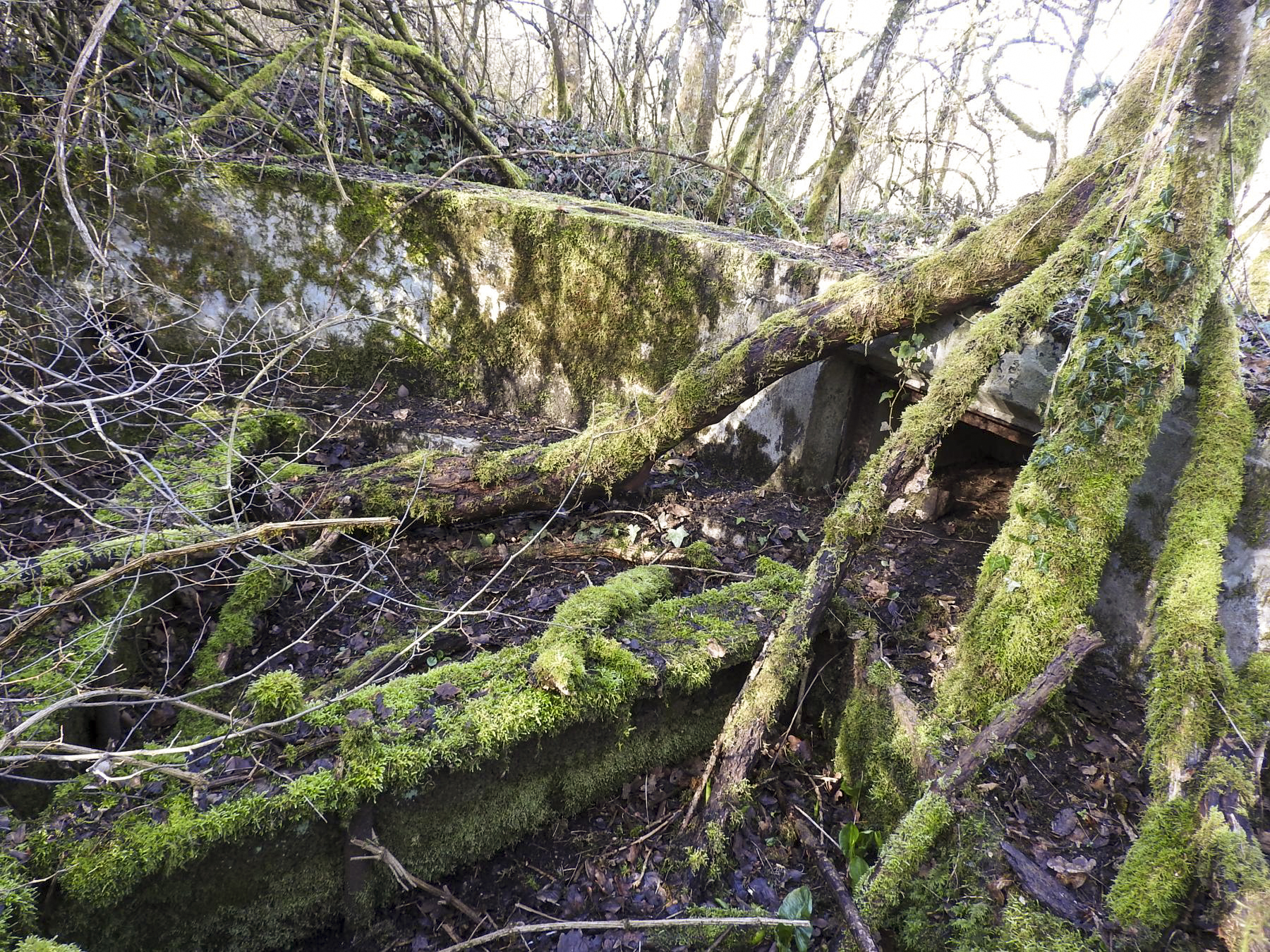 Ligne Maginot - CC4 - (Cuve pour canon) - La cuve pour canon. - STENGER Mathieu