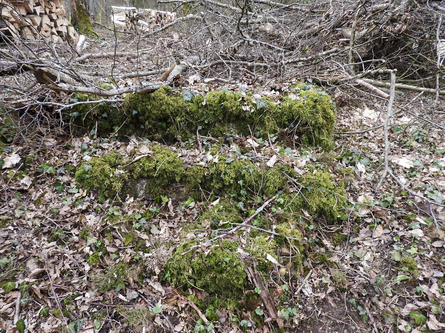Ligne Maginot - ABRI GOEZERT - (Abri) - Les restes d'un escalier à peine visible. - STENGER Mathieu