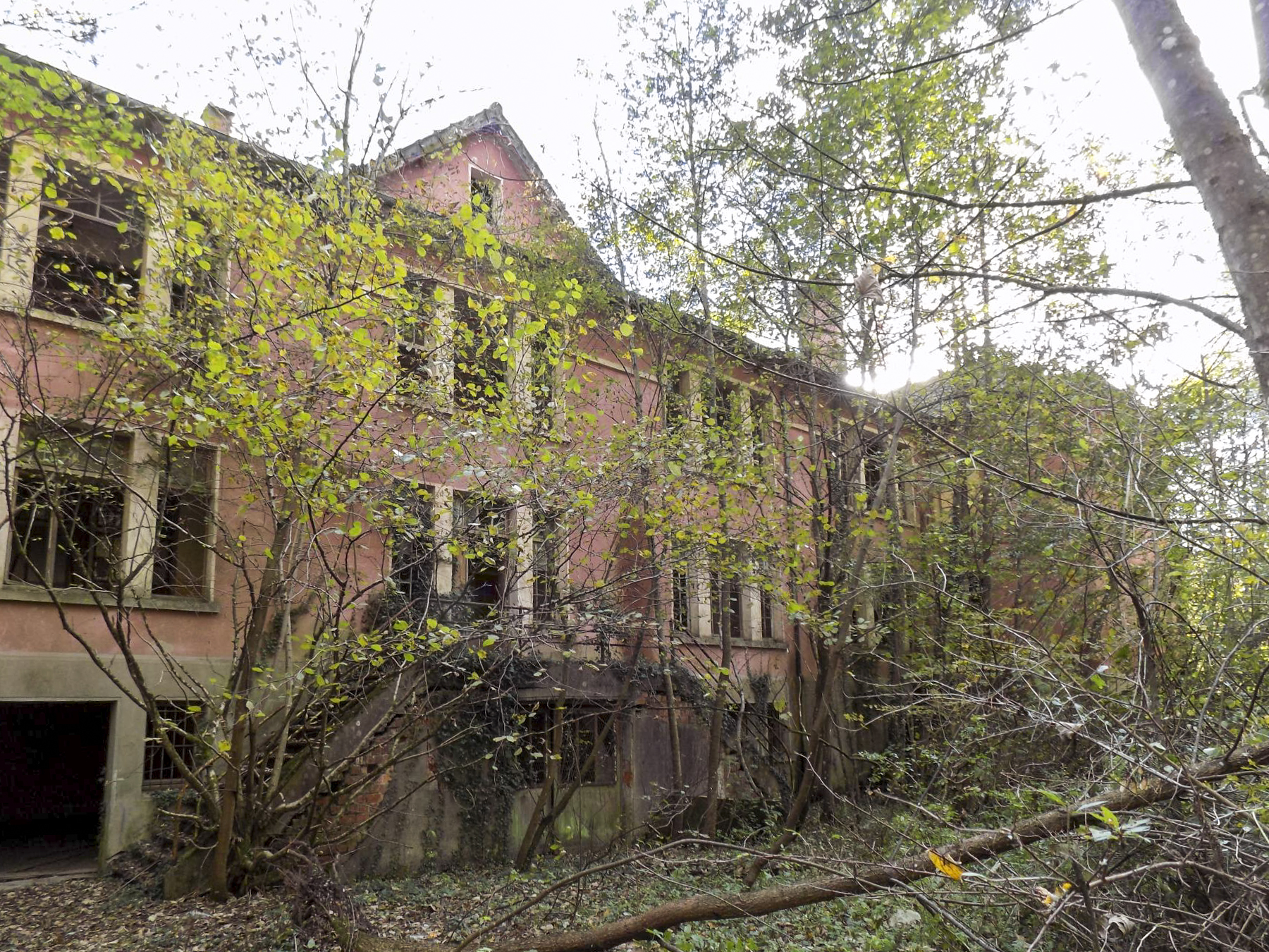 Ligne Maginot - LEMBACH - (Camp de sureté) - L'esplanade du bâtiment principal envahie par la végétation - luc.j