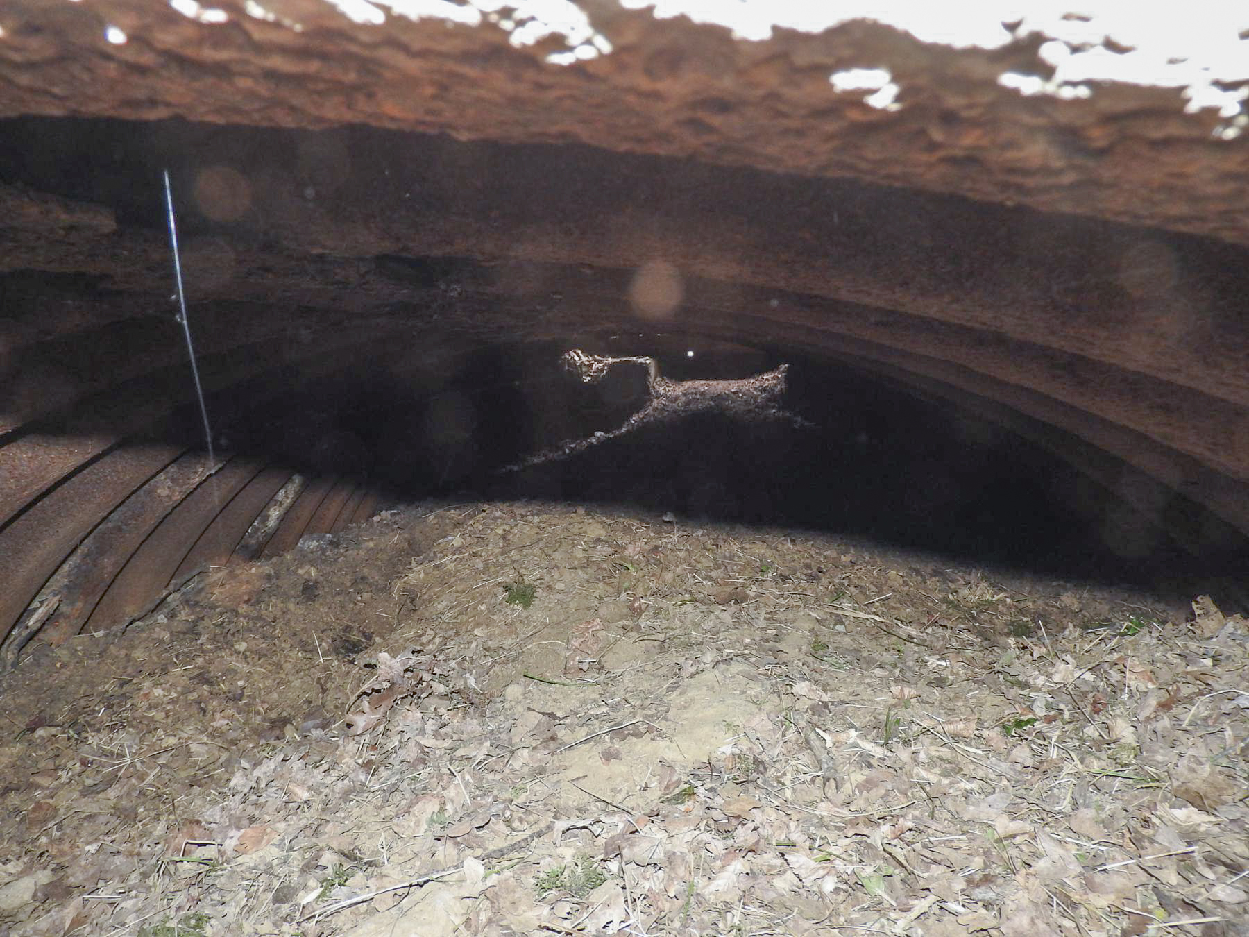 Ligne Maginot - GOEZERT - (Abri) - Une vue de l'intérieur par le trou qui devrais correspondre à l'entrée. - STENGER Mathieu