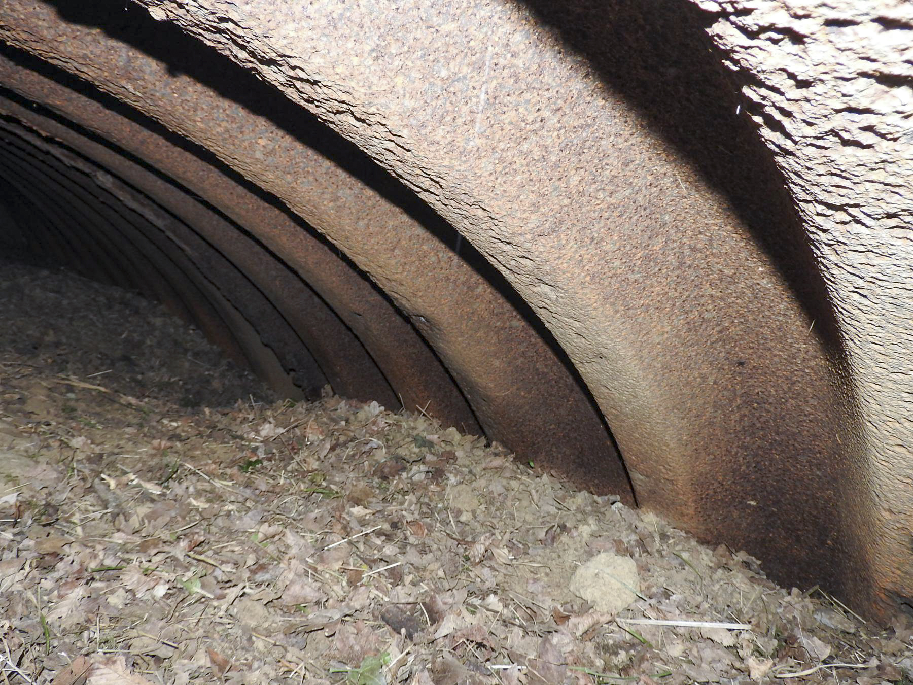 Ligne Maginot - GOEZERT - (Abri) - Les tôles ondulées de la toiture. - STENGER Mathieu