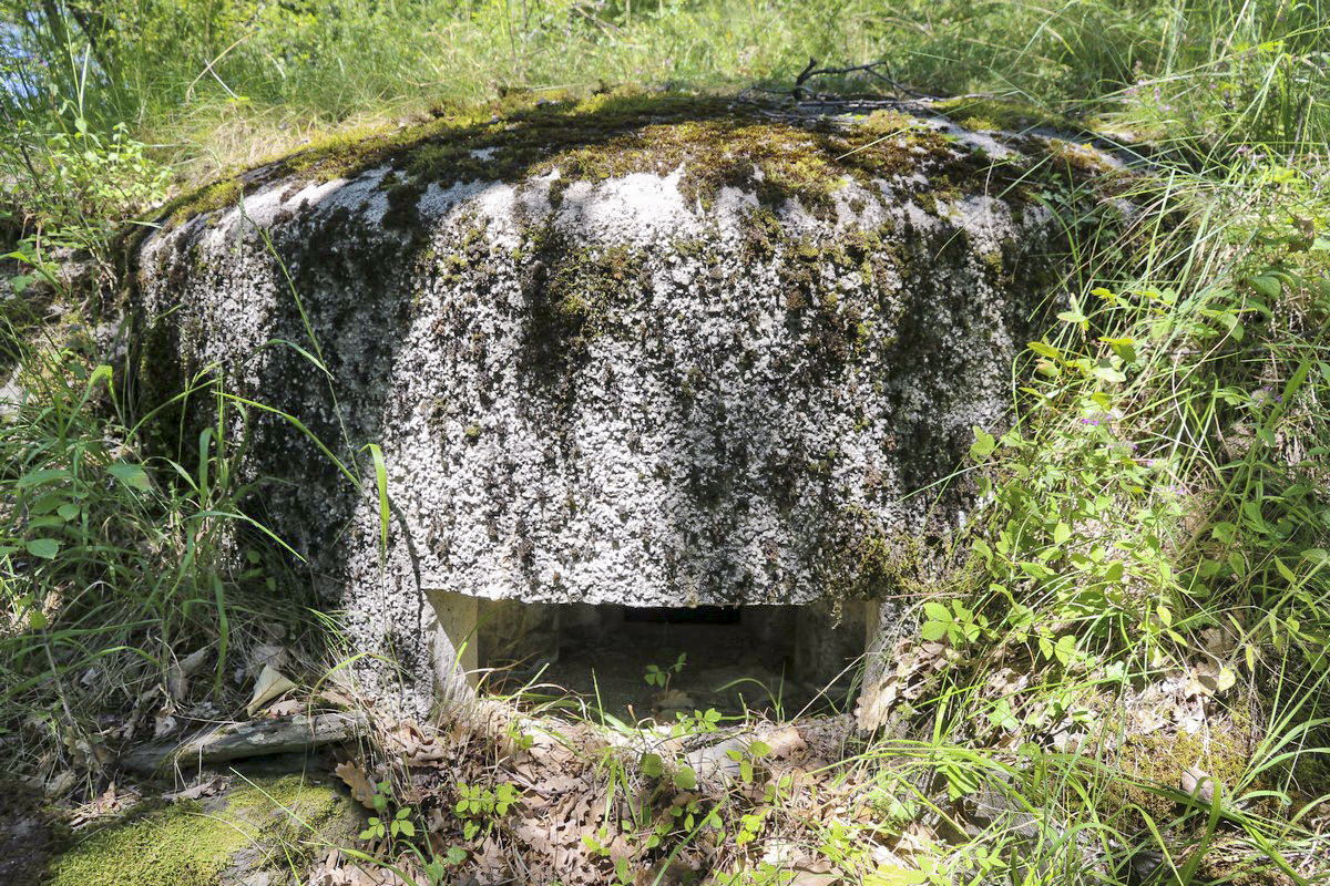 Ligne Maginot - LA VILLETTE 1 - (Blockhaus pour arme infanterie) - La coupole - Alain Perouffe