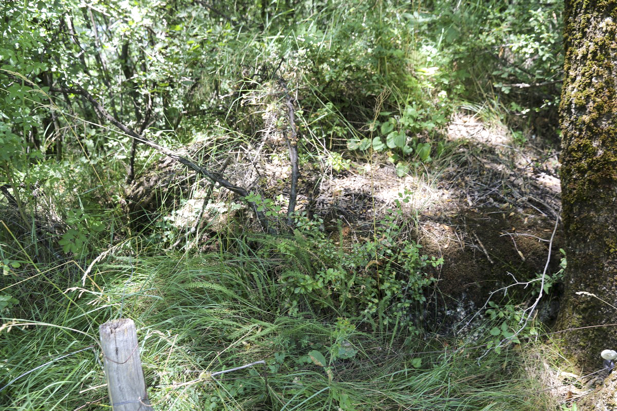 Ligne Maginot - LA VILLETTE 3 - (Blockhaus pour arme infanterie) - La coupole bien remblayée - Alain Perouffe