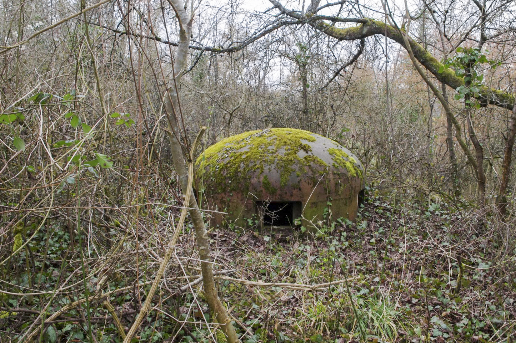 Ligne Maginot - METRICH NORD - C50 - (Casemate d'infanterie - Simple) - La cloche GFM. - STENGER Mathieu
