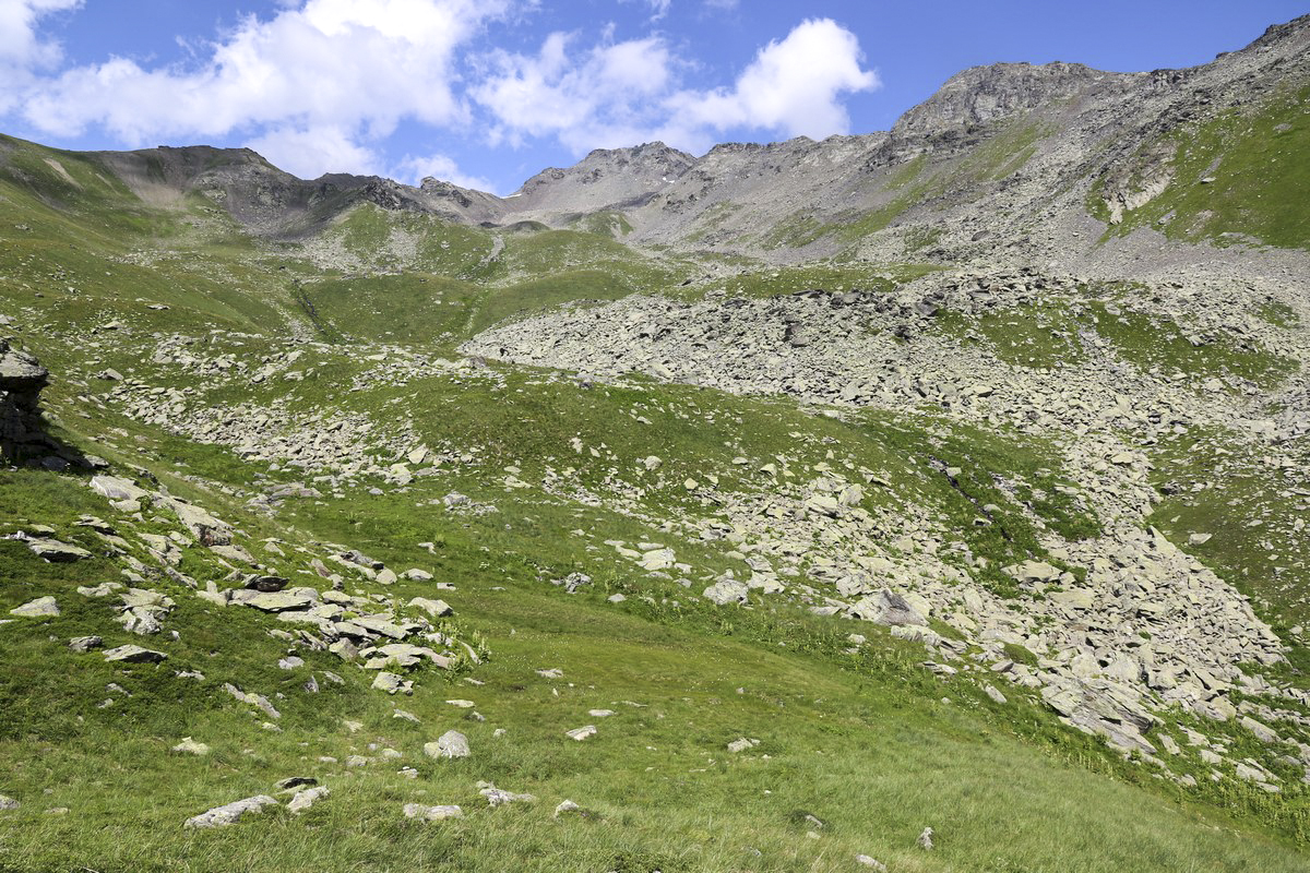 Ligne Maginot - COTE 2415 - (Blockhaus pour arme infanterie) - Plan feu du créneau nord, Ruisseau des Perches et Combe de la Vache - Alain Perouffe