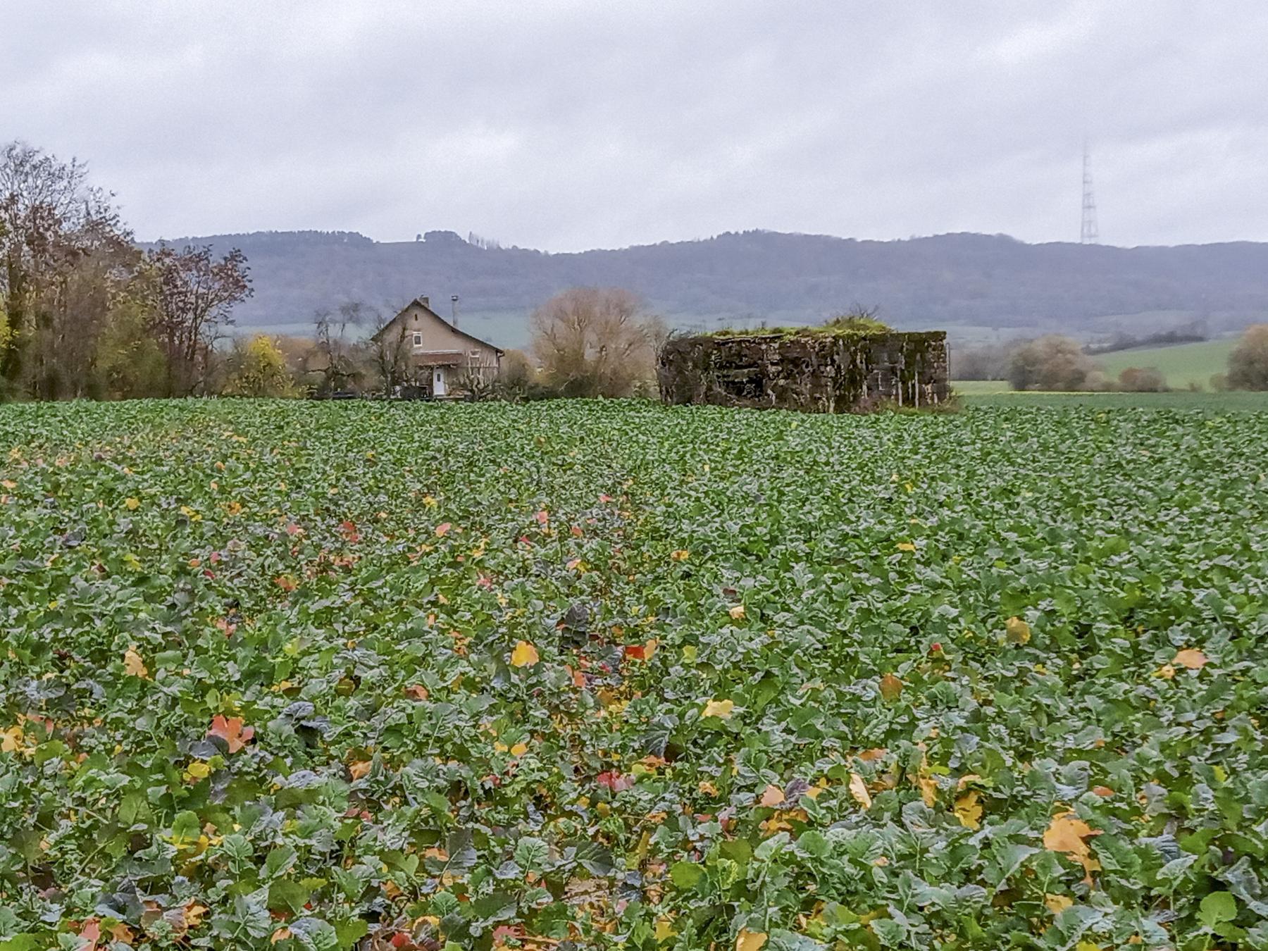 Ligne Maginot - IMMEREN 1 - (Blockhaus pour canon) -  - Marc Fossoul