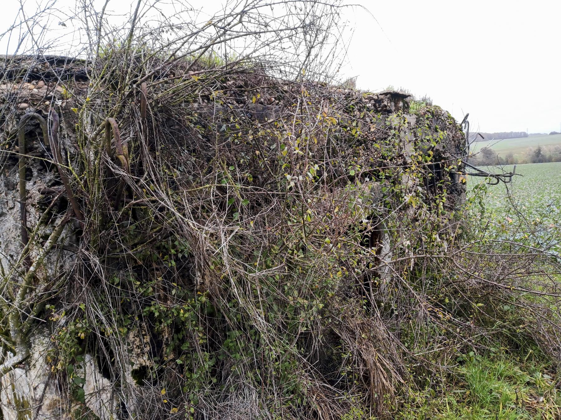Ligne Maginot - IMMEREN 1 - (Blockhaus pour canon) - La façade  - Marc Fossoul