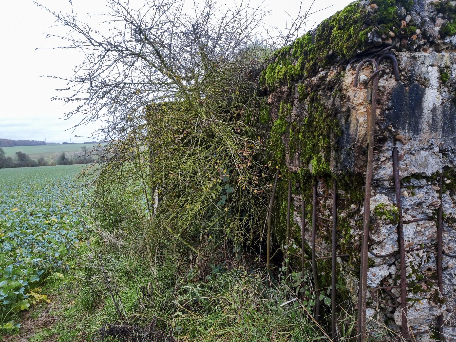 Ligne Maginot - IMMEREN 1 - (Blockhaus pour canon) - La façade  - Marc Fossoul