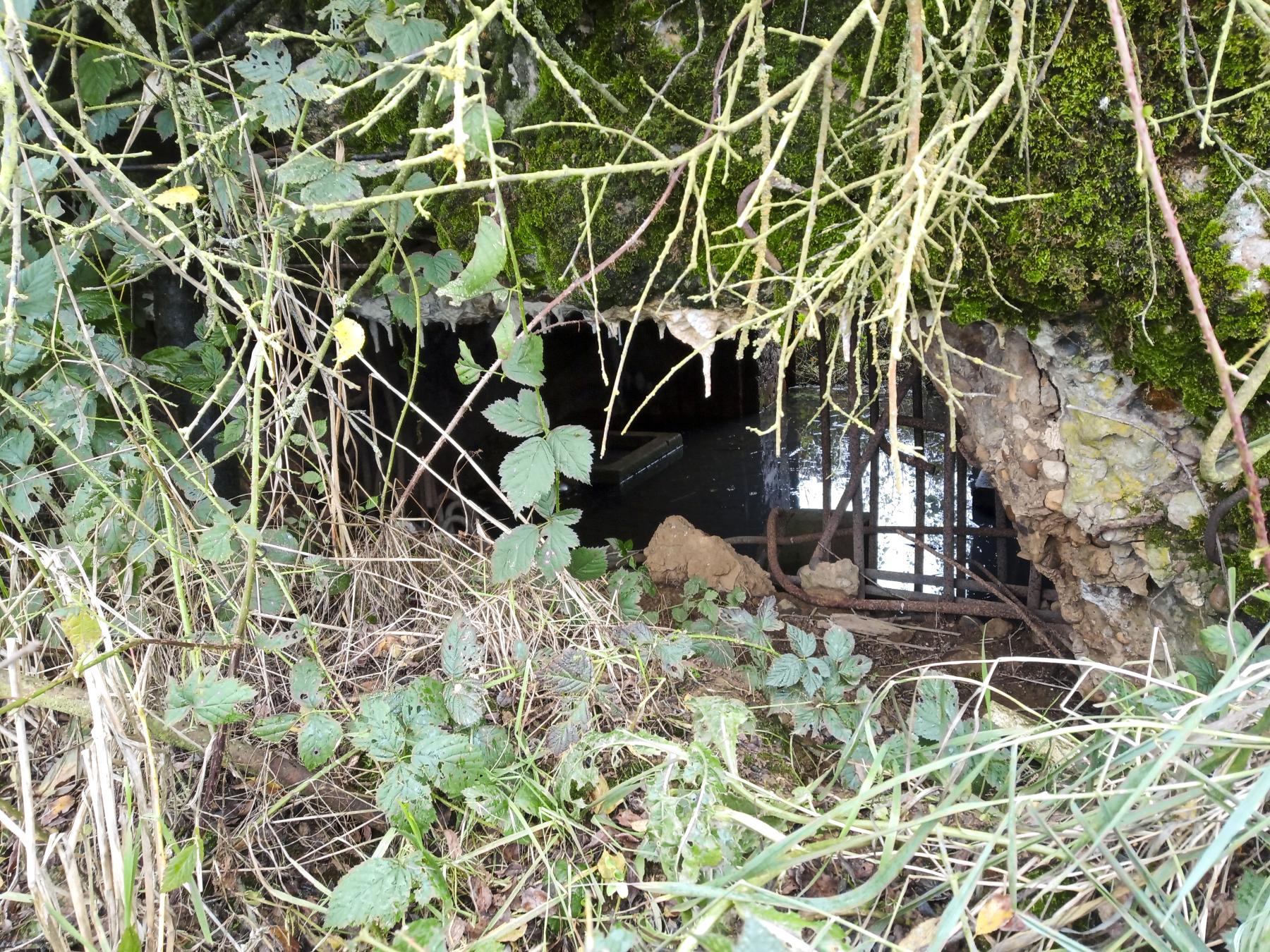 Ligne Maginot - IMMEREN 1 - (Blockhaus pour canon) - Le créneau - Marc Fossoul