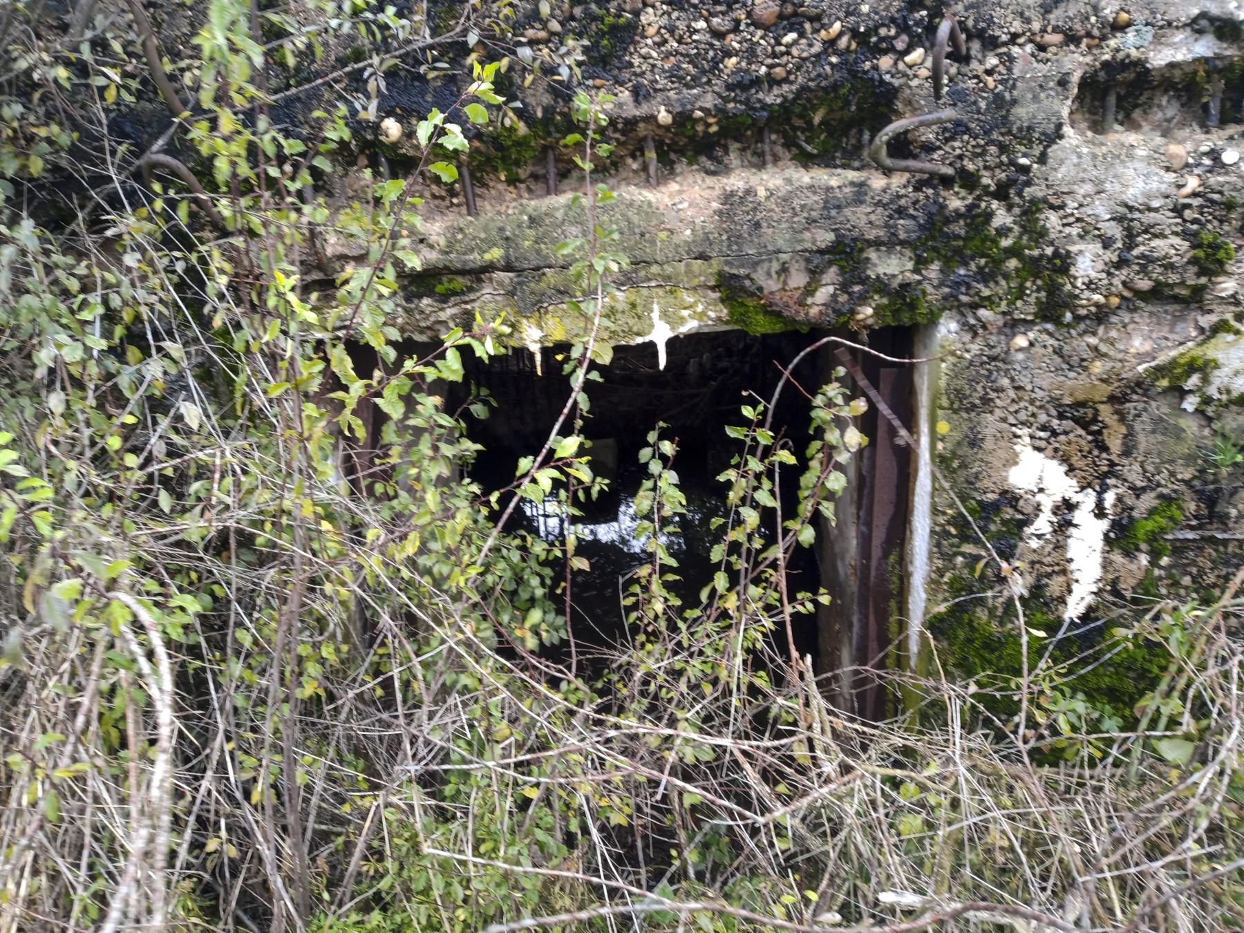 Ligne Maginot - IMMEREN 1 - (Blockhaus pour canon) - L'entrée du matériel - Marc Fossoul
