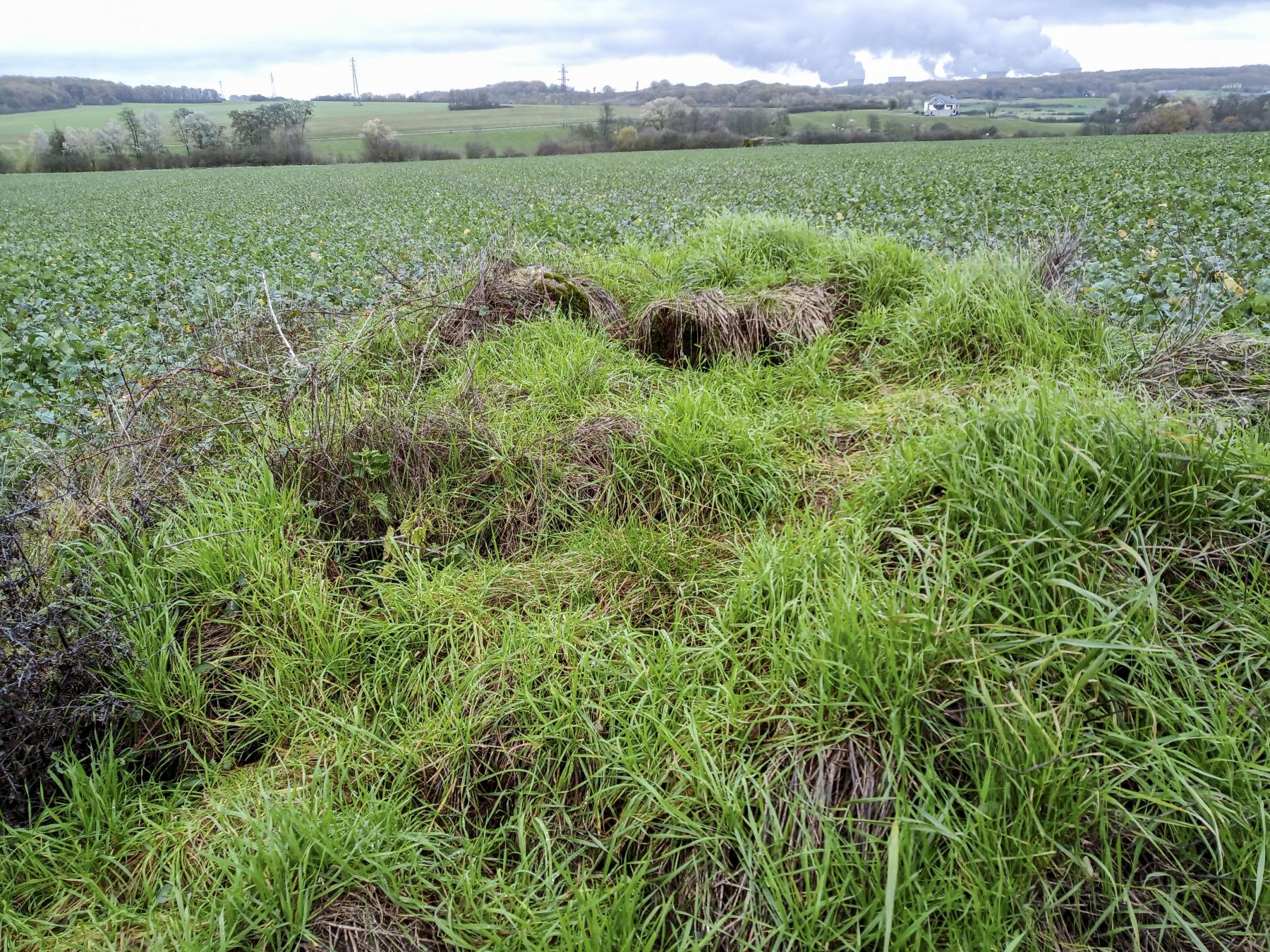 Ligne Maginot - IMMEREN 2 - (Blockhaus pour arme infanterie) - Les quelques vestiges visibles du blockhaus - Marc Fossoul