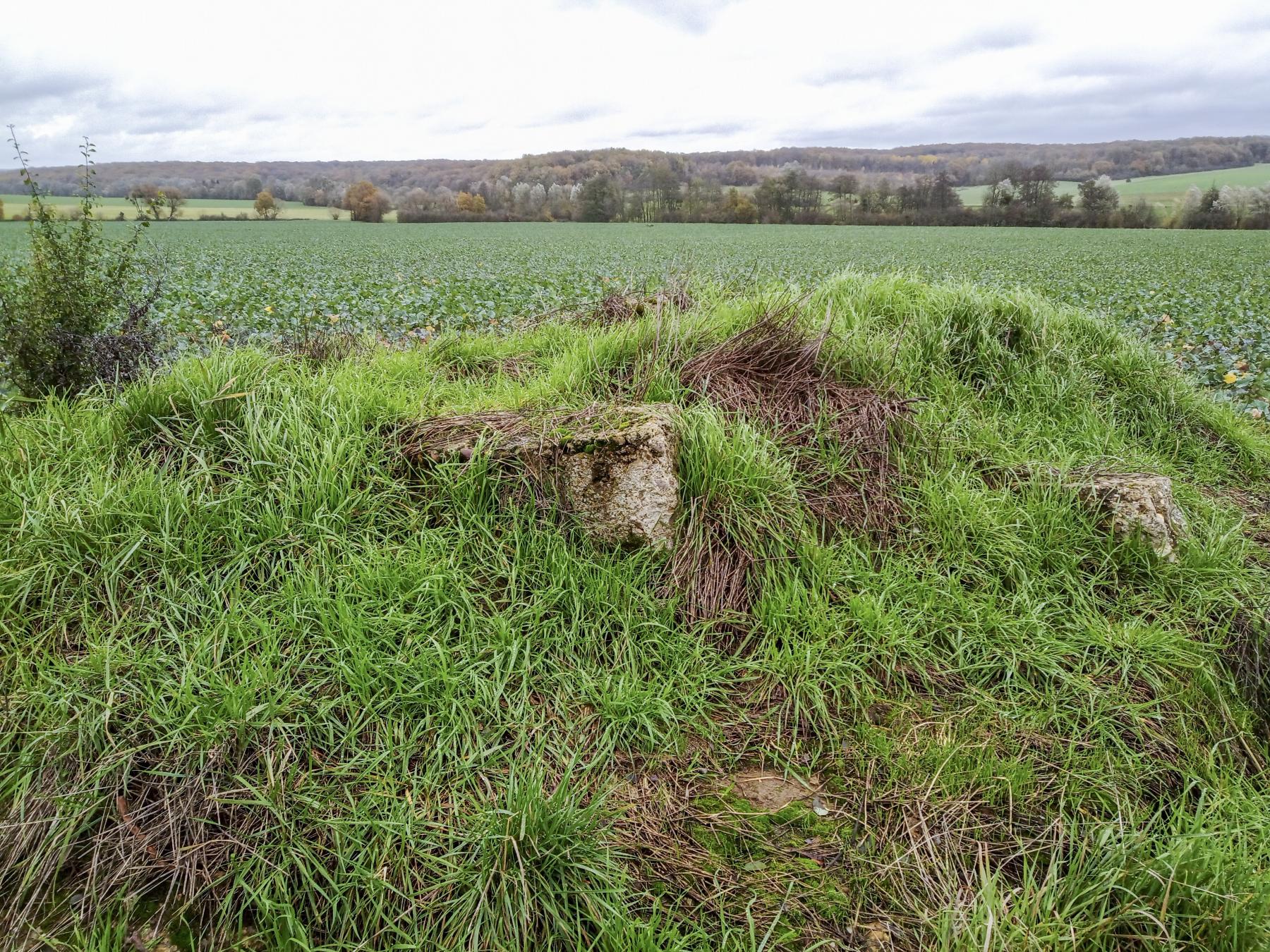 Ligne Maginot - IMMEREN 2 - (Blockhaus pour arme infanterie) - Les quelques vestiges visibles du blockhaus - Marc Fossoul