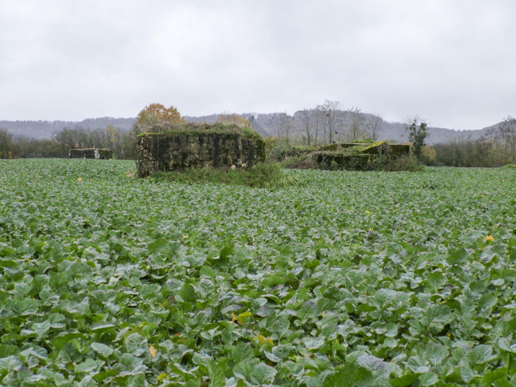 Ligne Maginot - IMMEREN 3 - (Blockhaus pour arme infanterie) - Les blockhaus d'Immeren 3, 4 et 5 - Marc Fossoul