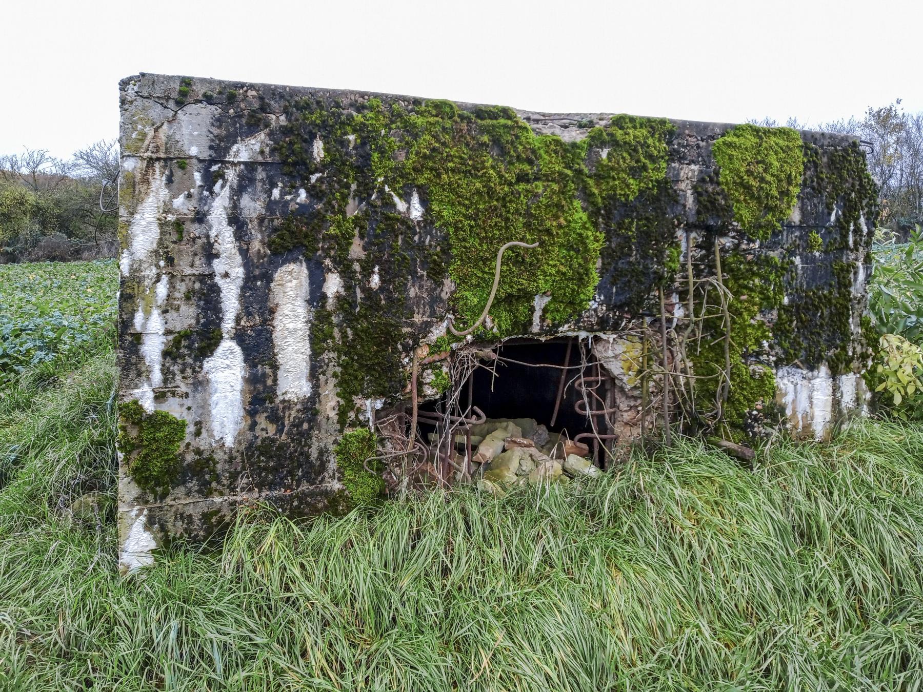 Ligne Maginot - IMMEREN 3 - (Blockhaus pour arme infanterie) - La façade - Marc Fossoul