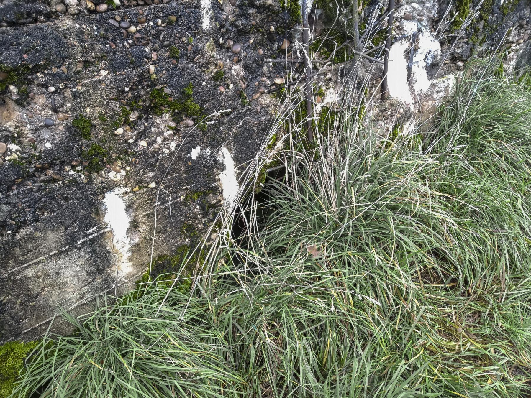 Ligne Maginot - IMMEREN 3 - (Blockhaus pour arme infanterie) - L'entrée des hommes - Marc Fossoul