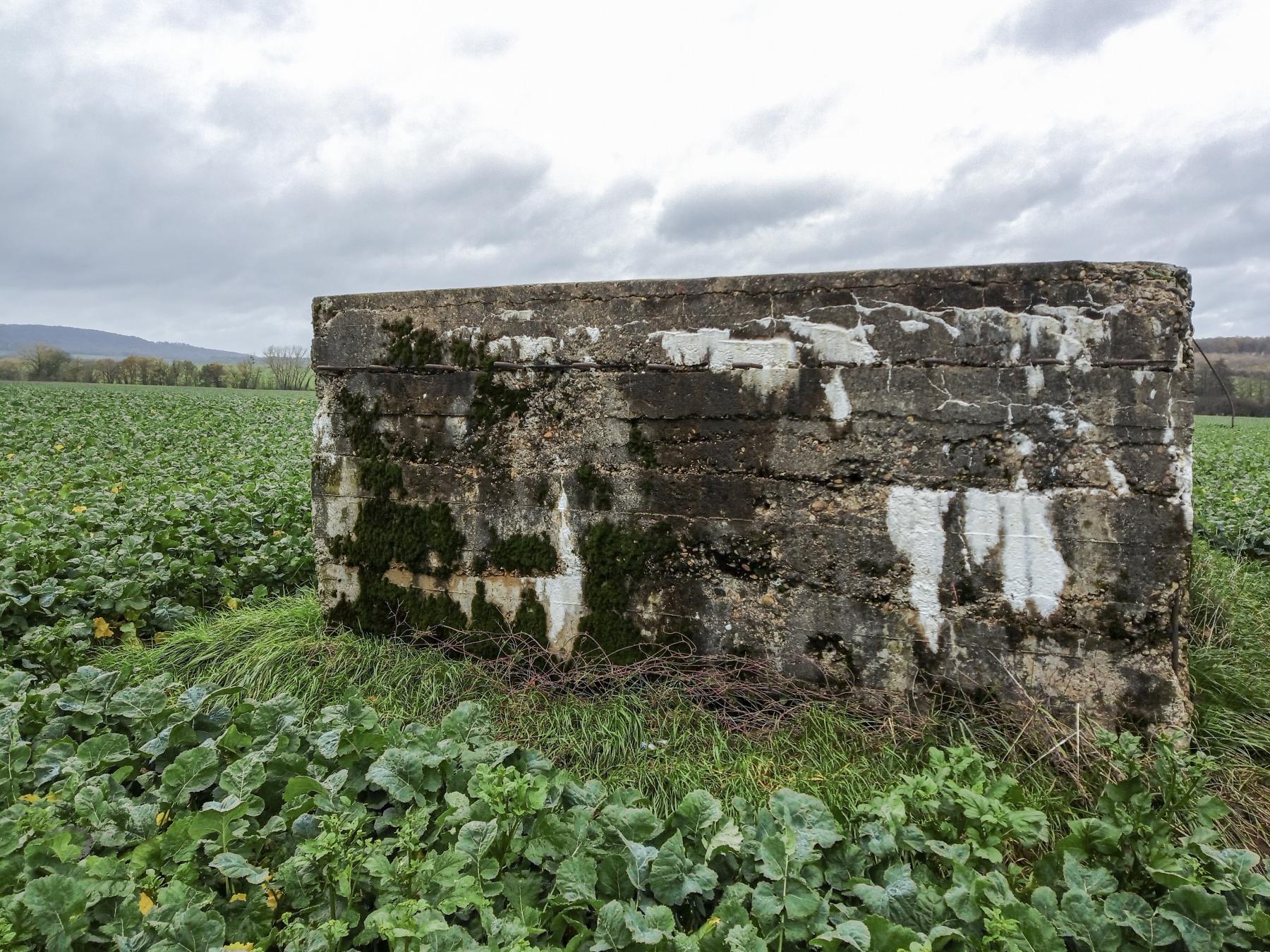 Ligne Maginot - IMMEREN 3 - (Blockhaus pour arme infanterie) -  - Marc Fossoul