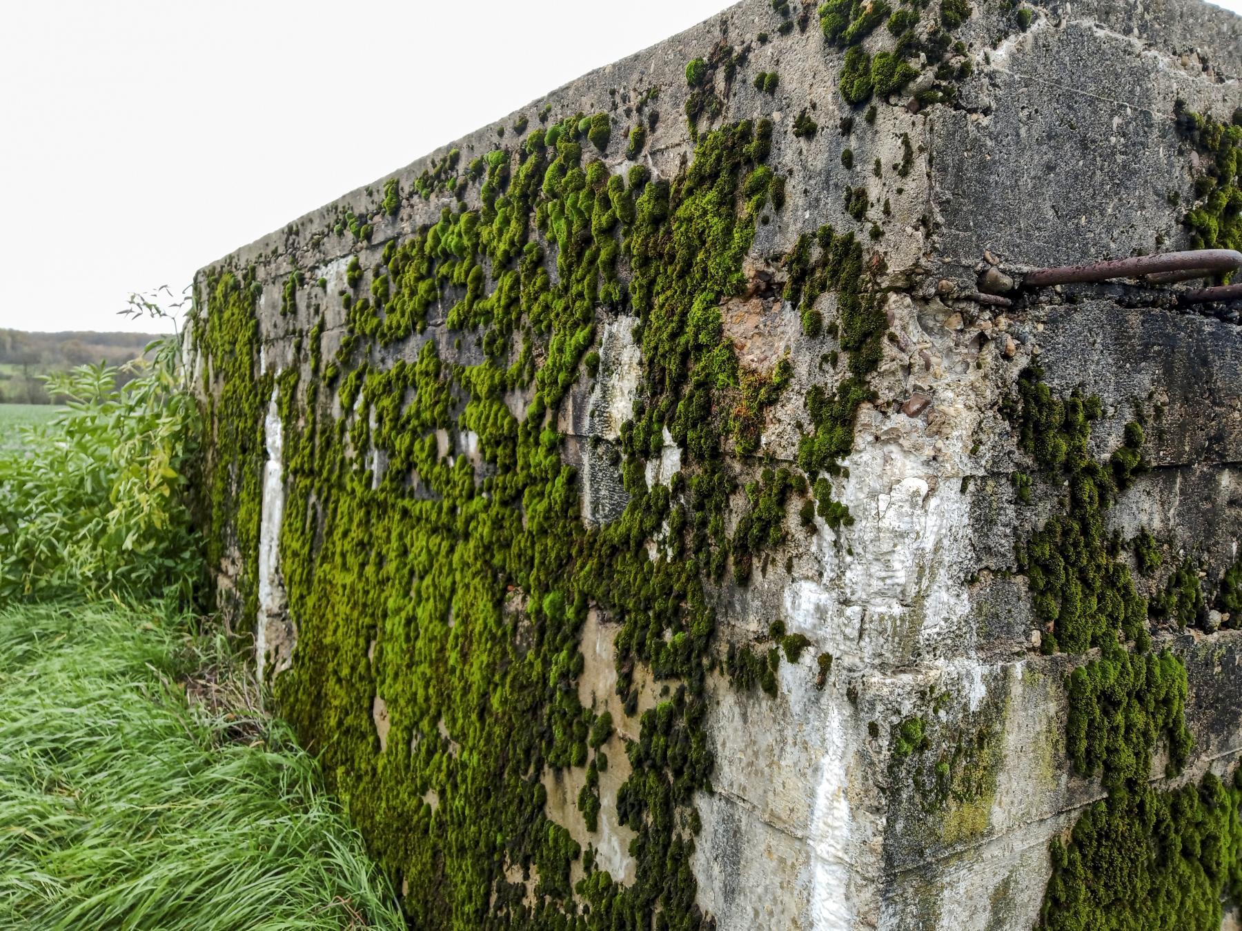 Ligne Maginot - IMMEREN 3 - (Blockhaus pour arme infanterie) -  - Marc Fossoul