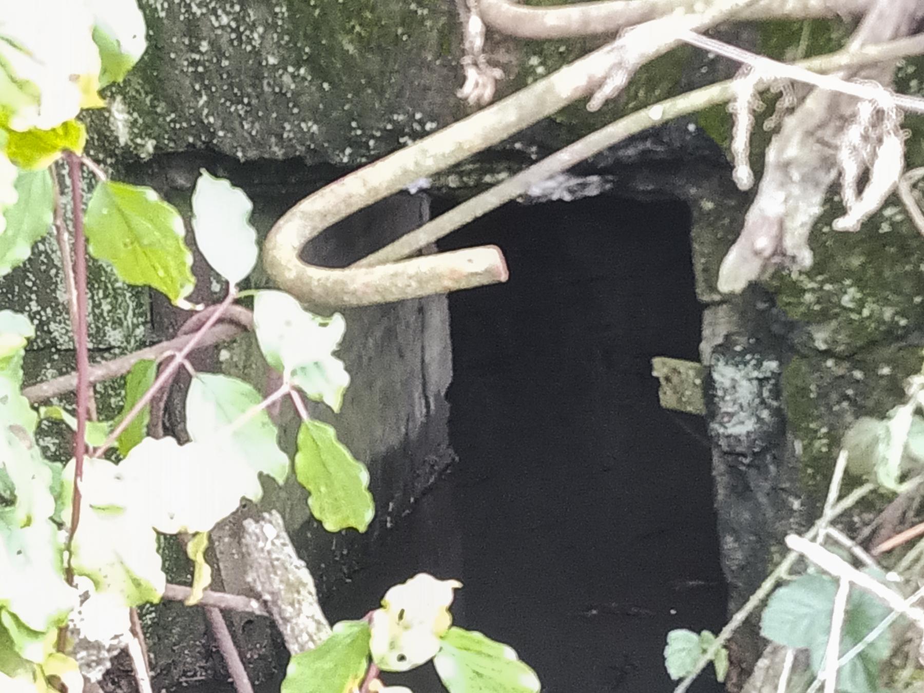 Ligne Maginot - IMMEREN 4 - (Blockhaus pour arme infanterie) - Le blockhaus est inondé - Marc Fossoul