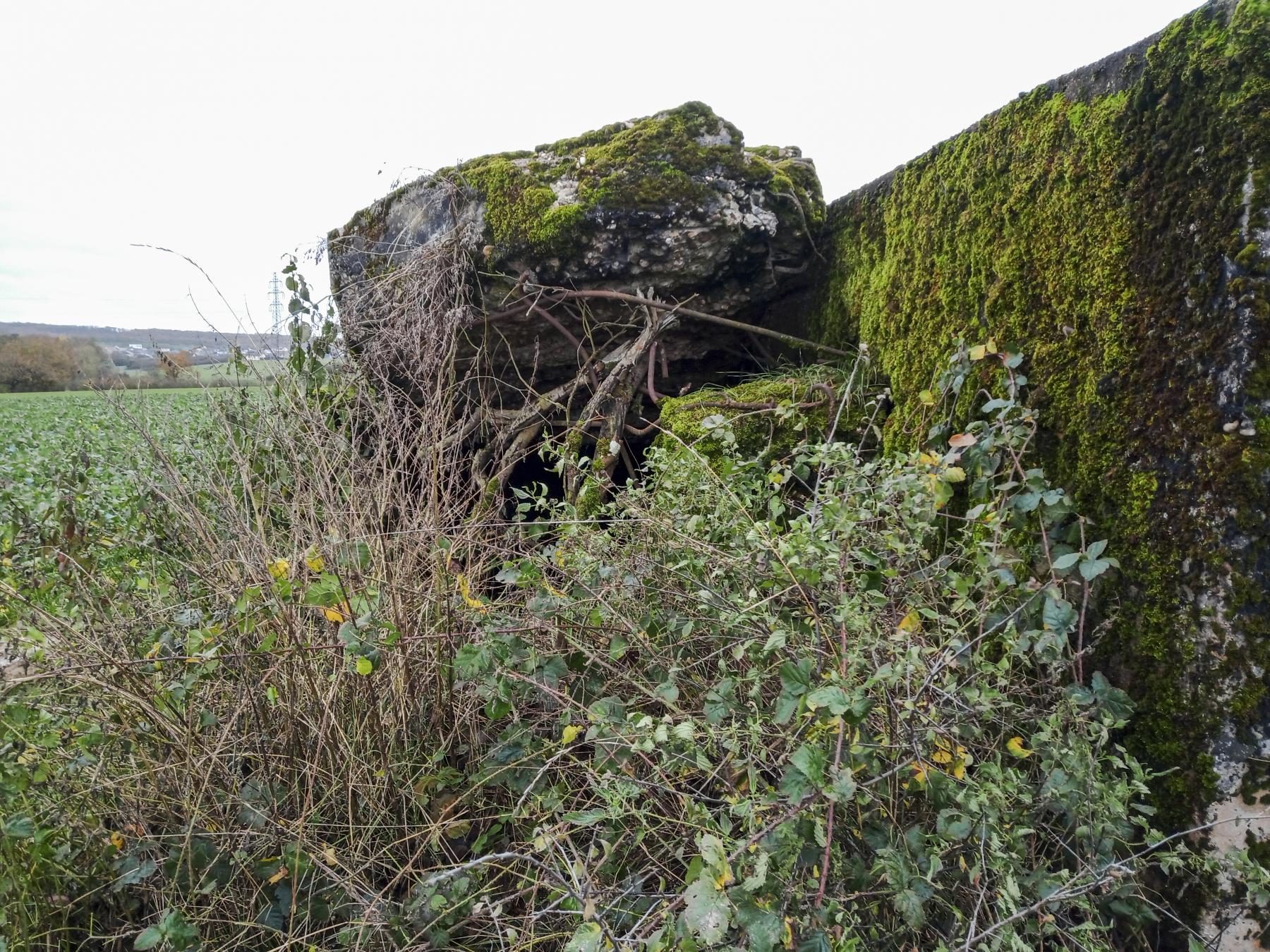 Ligne Maginot - IMMEREN 4 - (Blockhaus pour arme infanterie) -  - Marc Fossoul